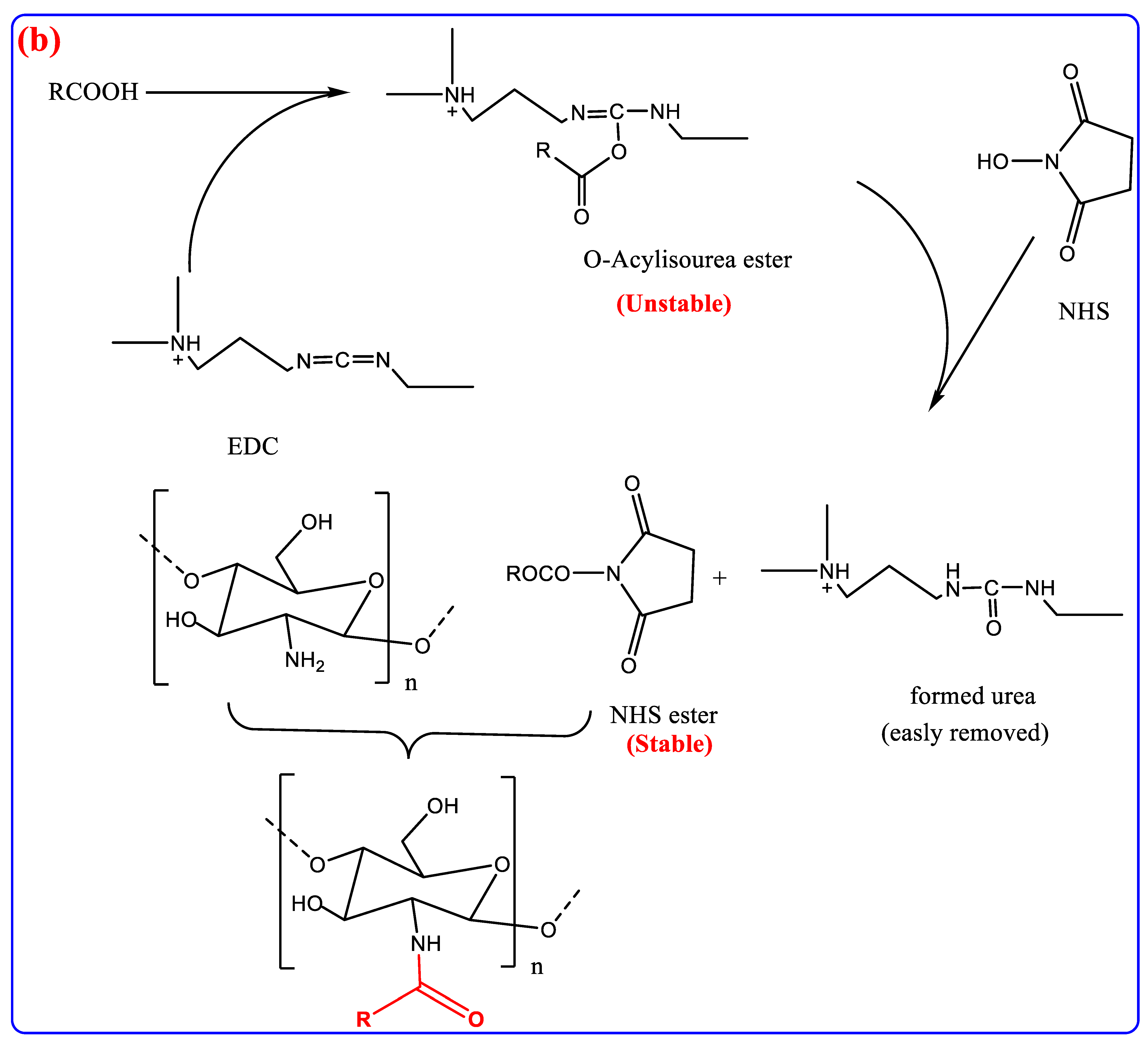 Polymers 15 02820 g004b Polymers 15 02820 g004b