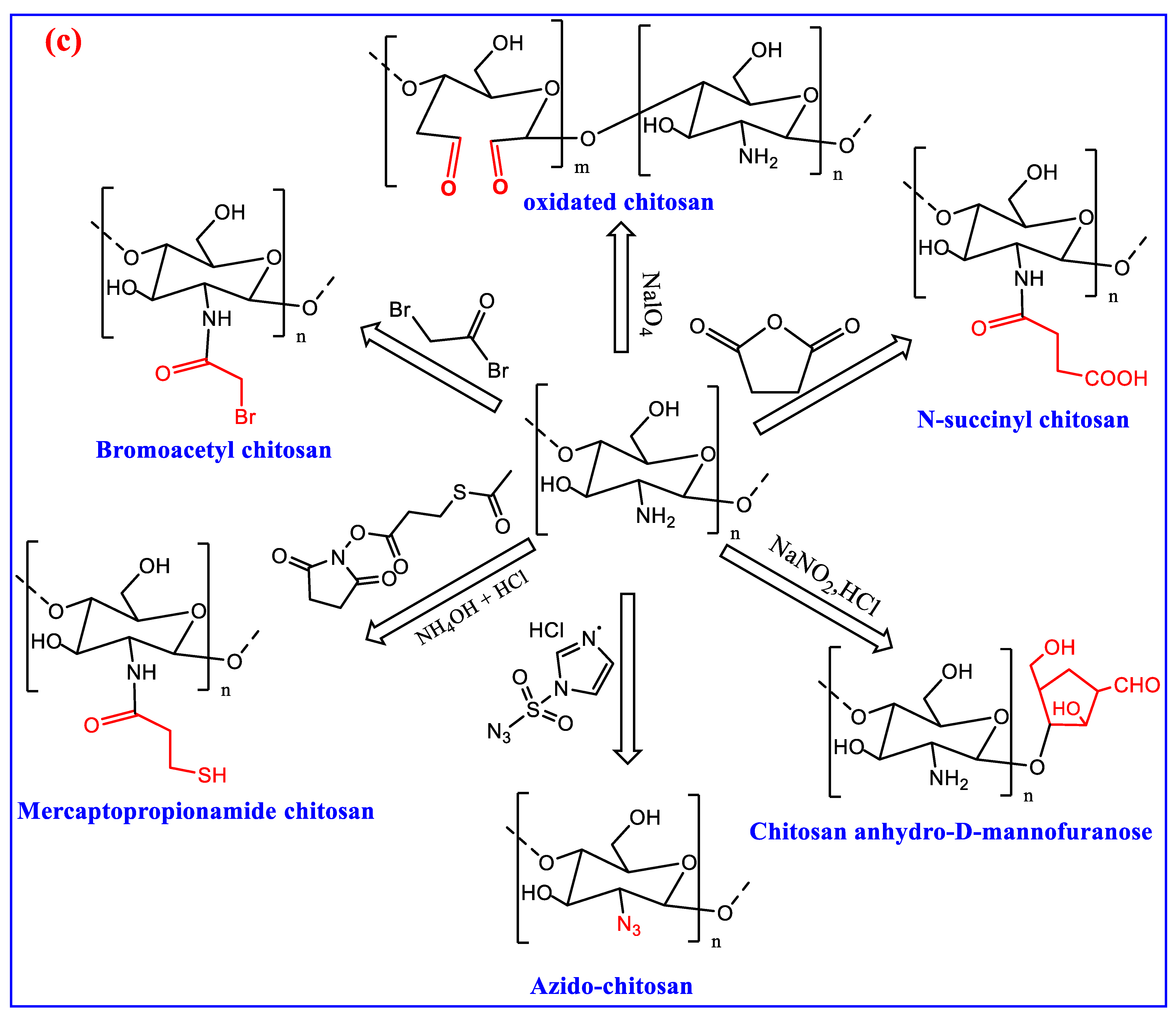 Polymers 15 02820 g004c Polymers 15 02820 g004c