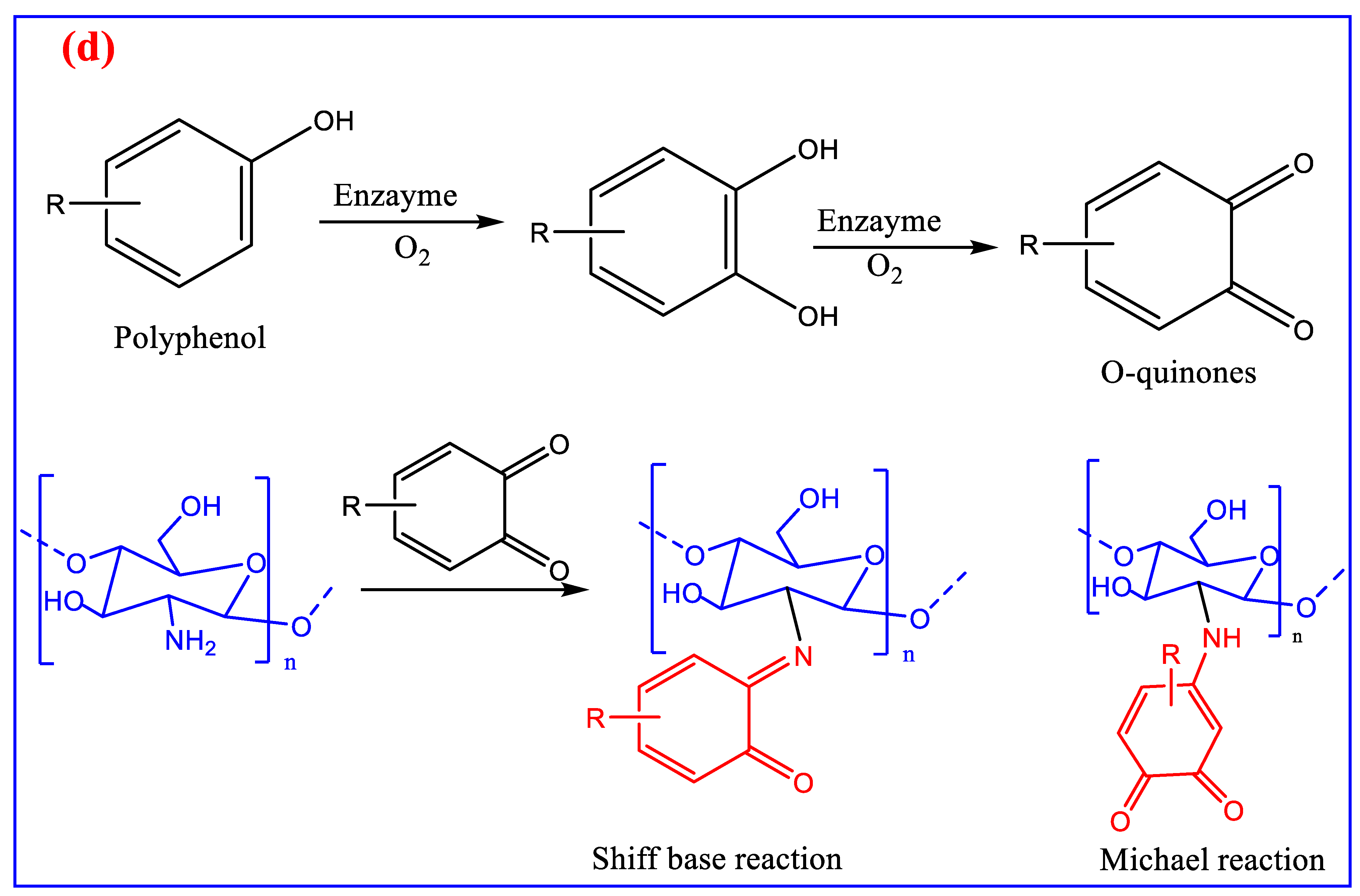 Polymers 15 02820 g004d Polymers 15 02820 g004d