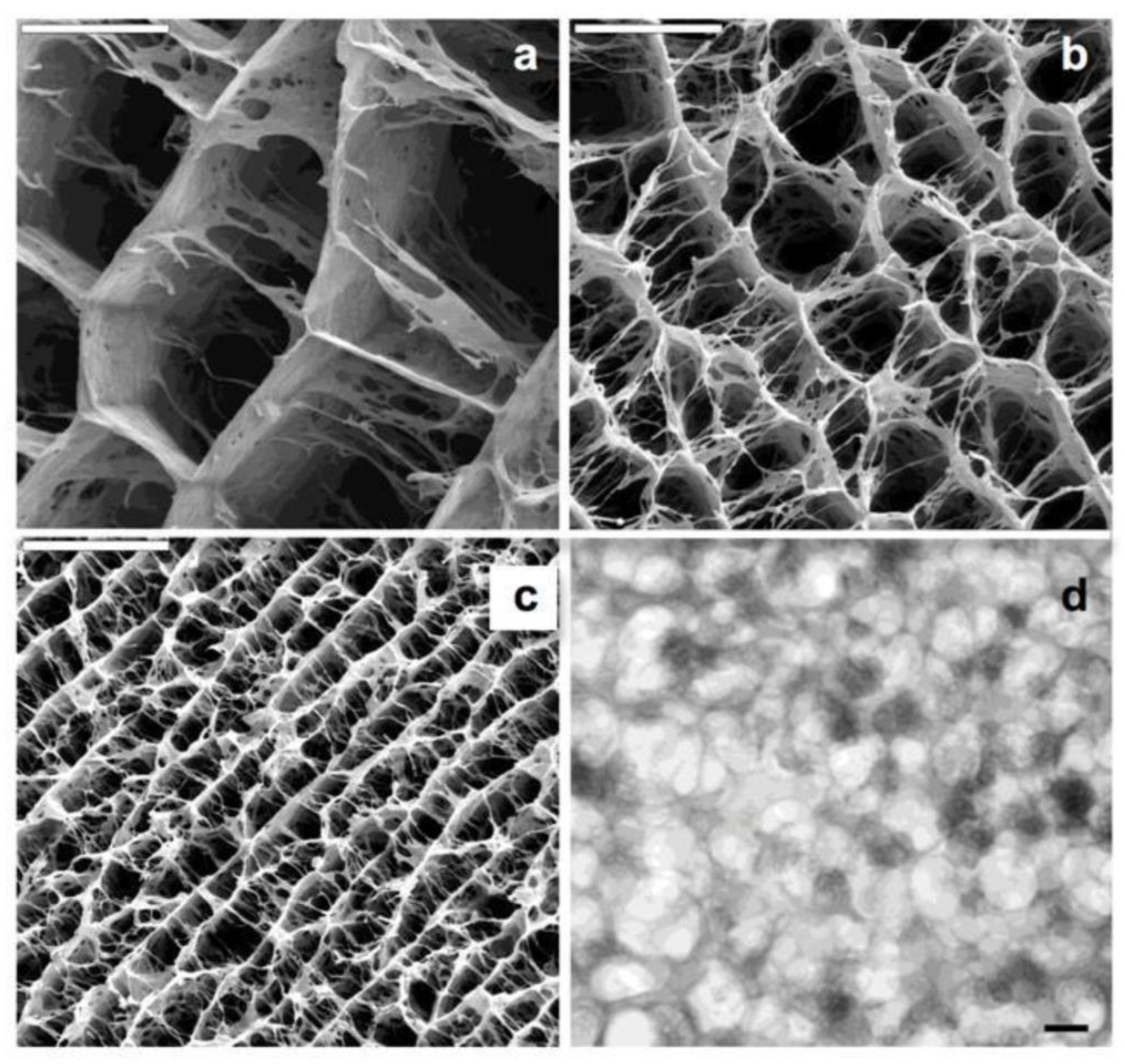 Polymers 15 02820 g007 Polymers 15 02820 g007