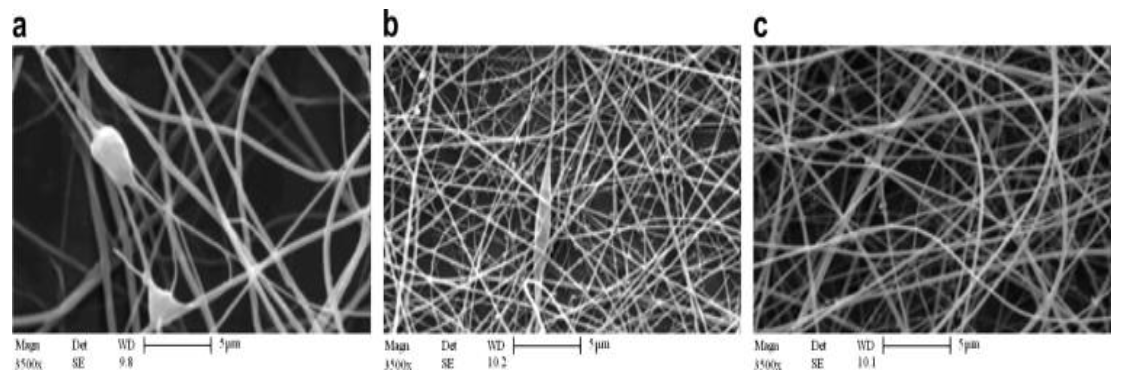 Polymers 15 02820 g011 Polymers 15 02820 g011