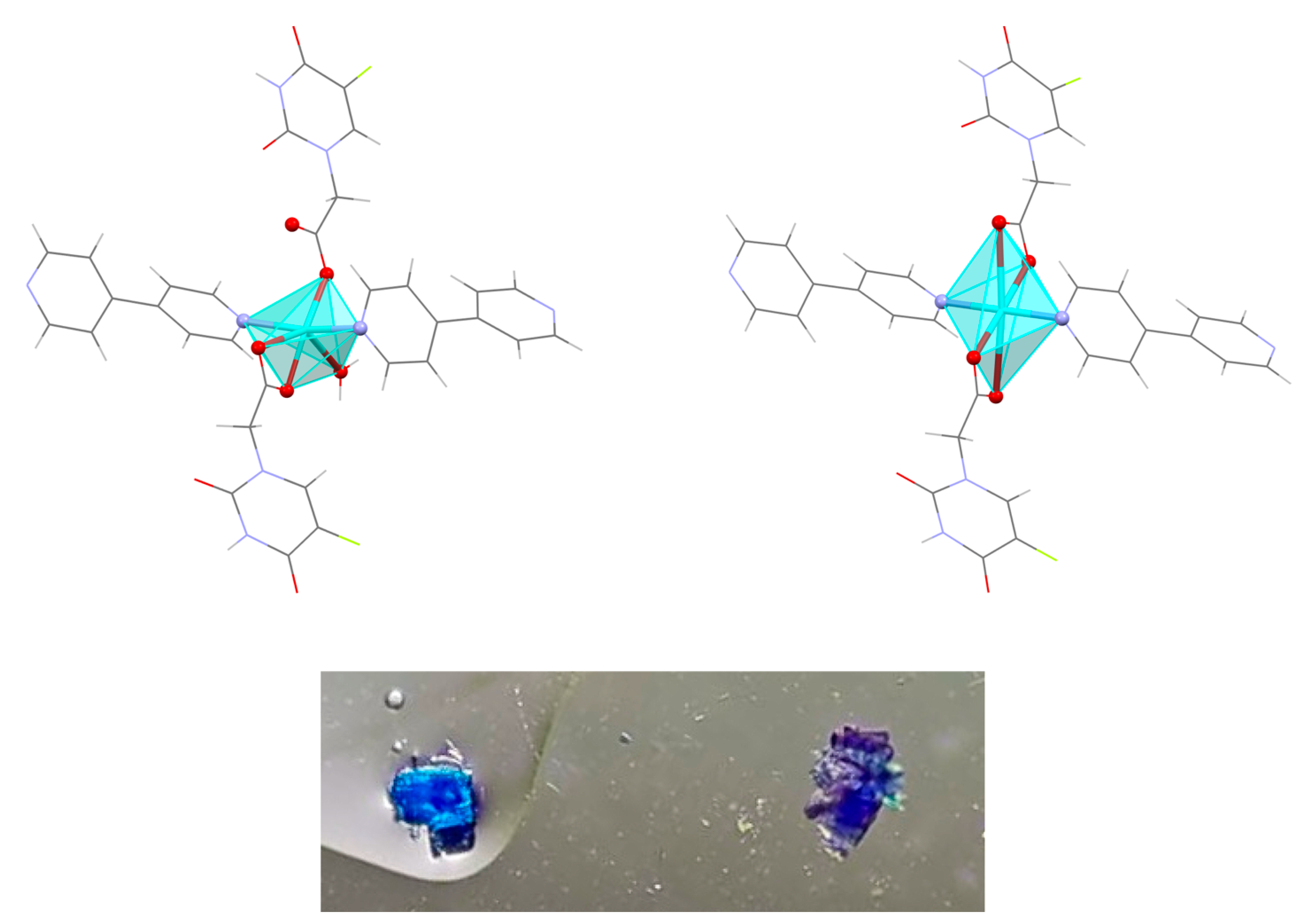 Polymers 15 02827 g005 Polymers 15 02827 g005