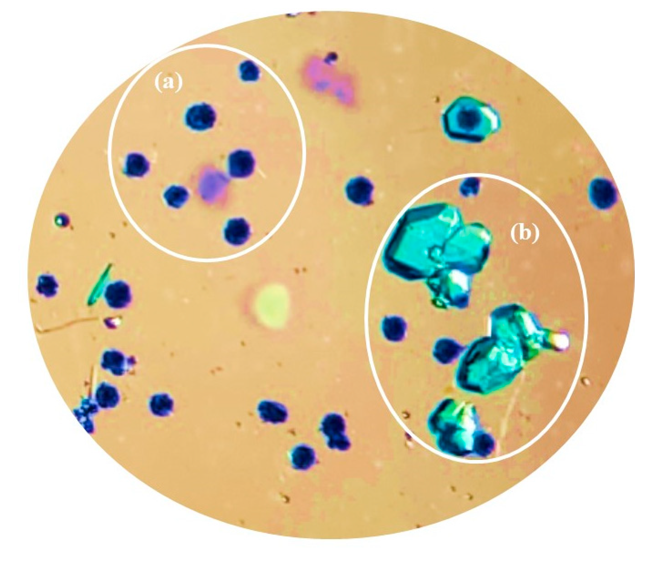 Polymers 15 02827 g007 Polymers 15 02827 g007