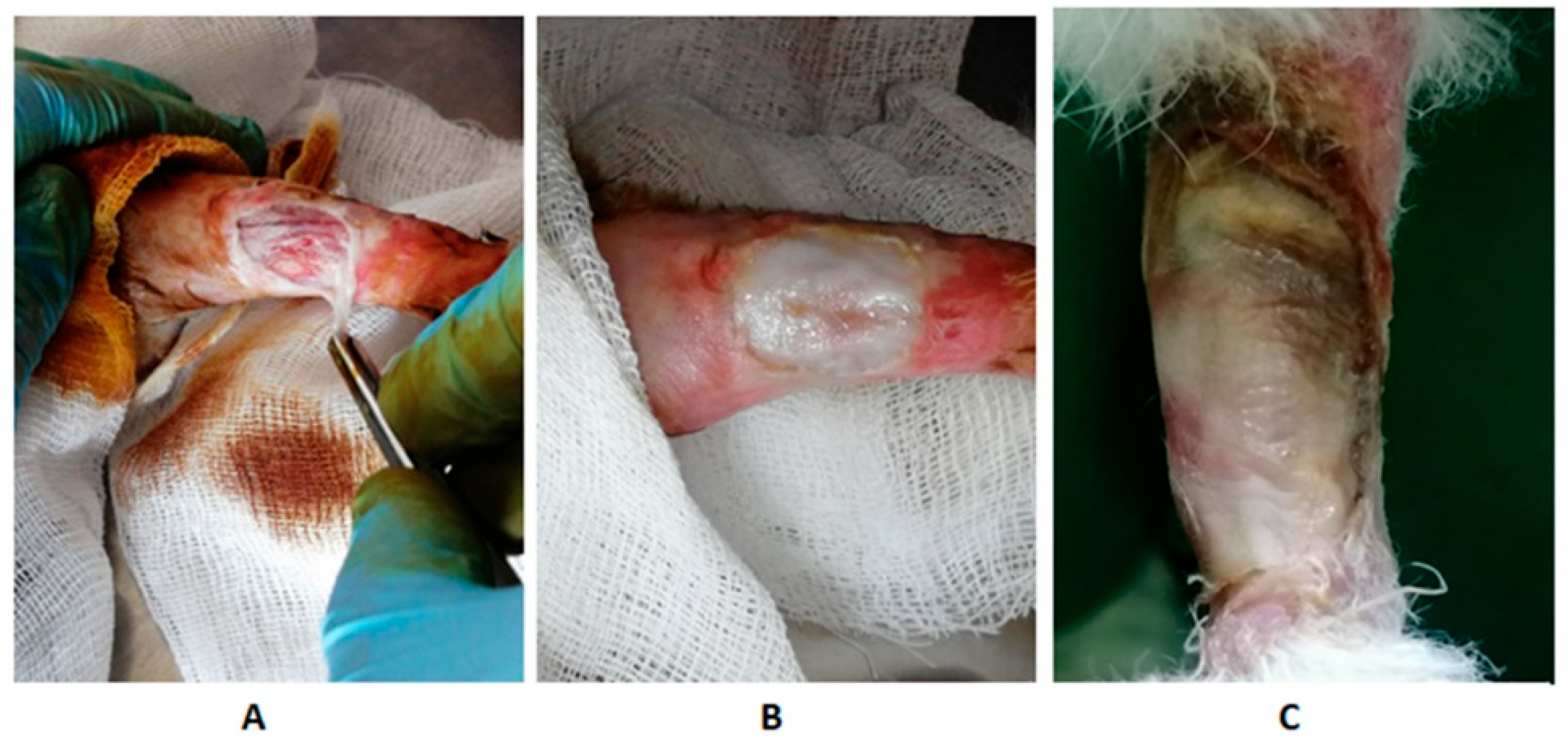 Polymers 15 02831 g007 Polymers 15 02831 g007