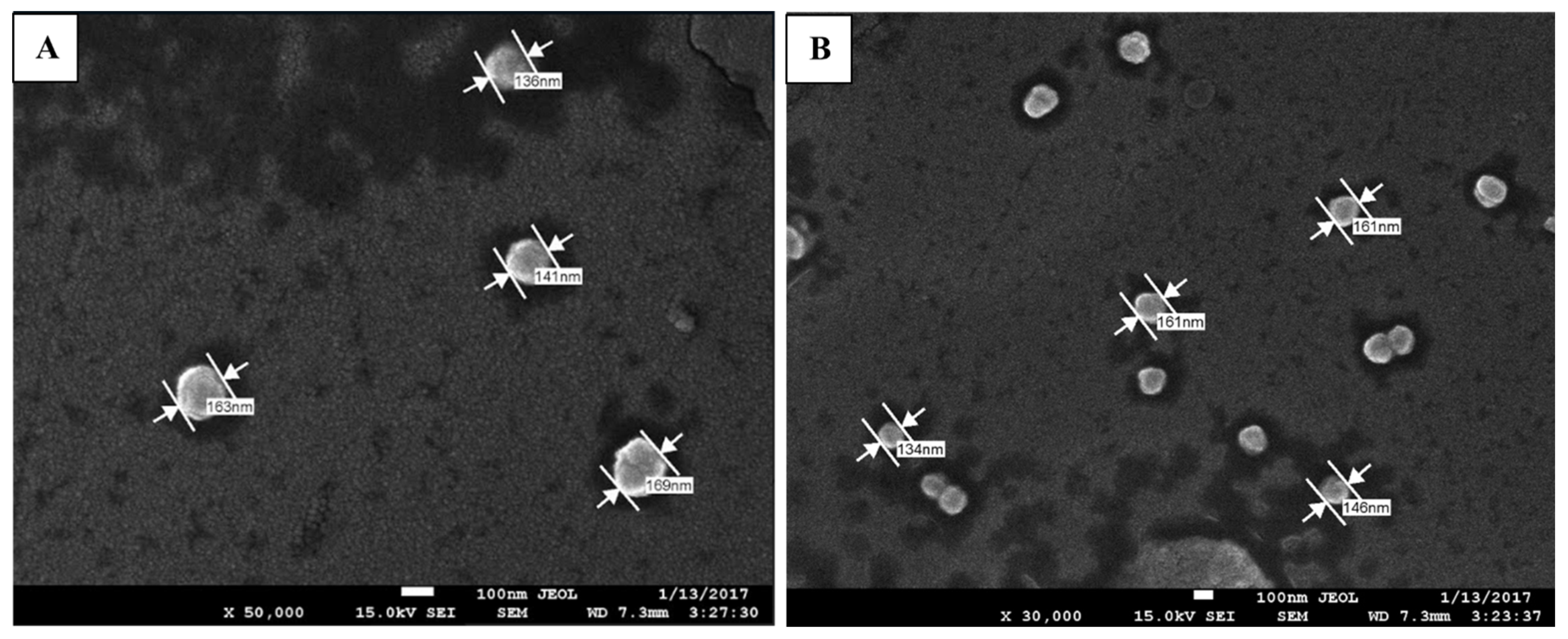 Polymers 15 02832 g003 Polymers 15 02832 g003