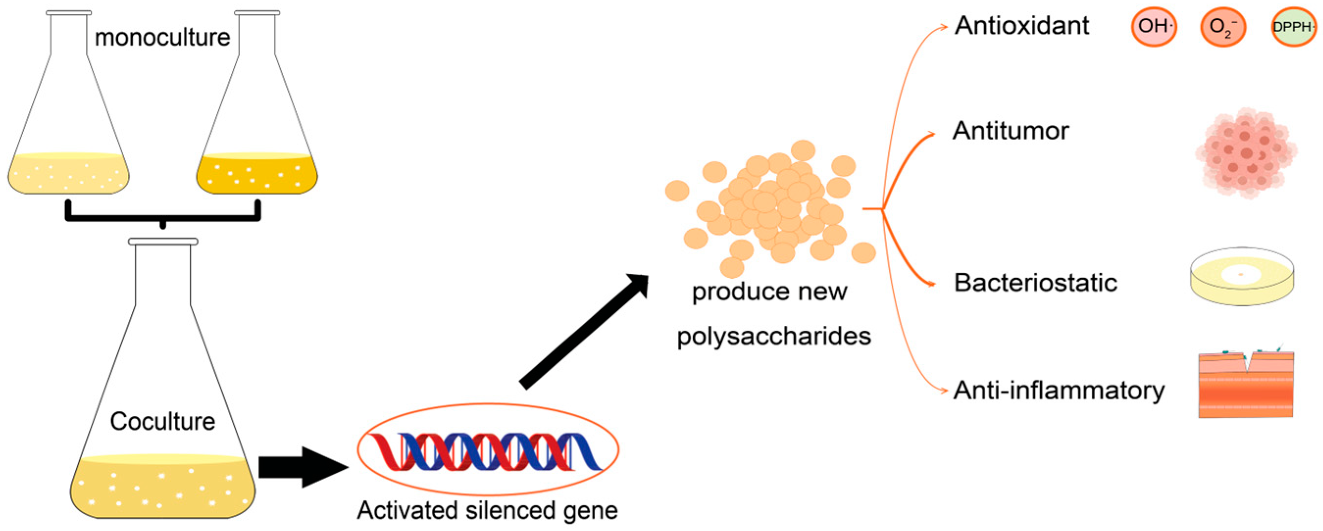 Polymers 15 02847 g001 Polymers 15 02847 g001