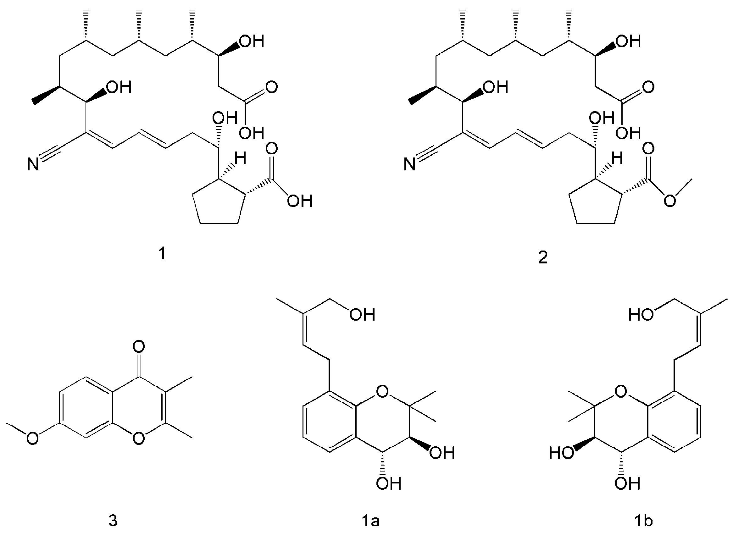 Polymers 15 02847 g002 Polymers 15 02847 g002