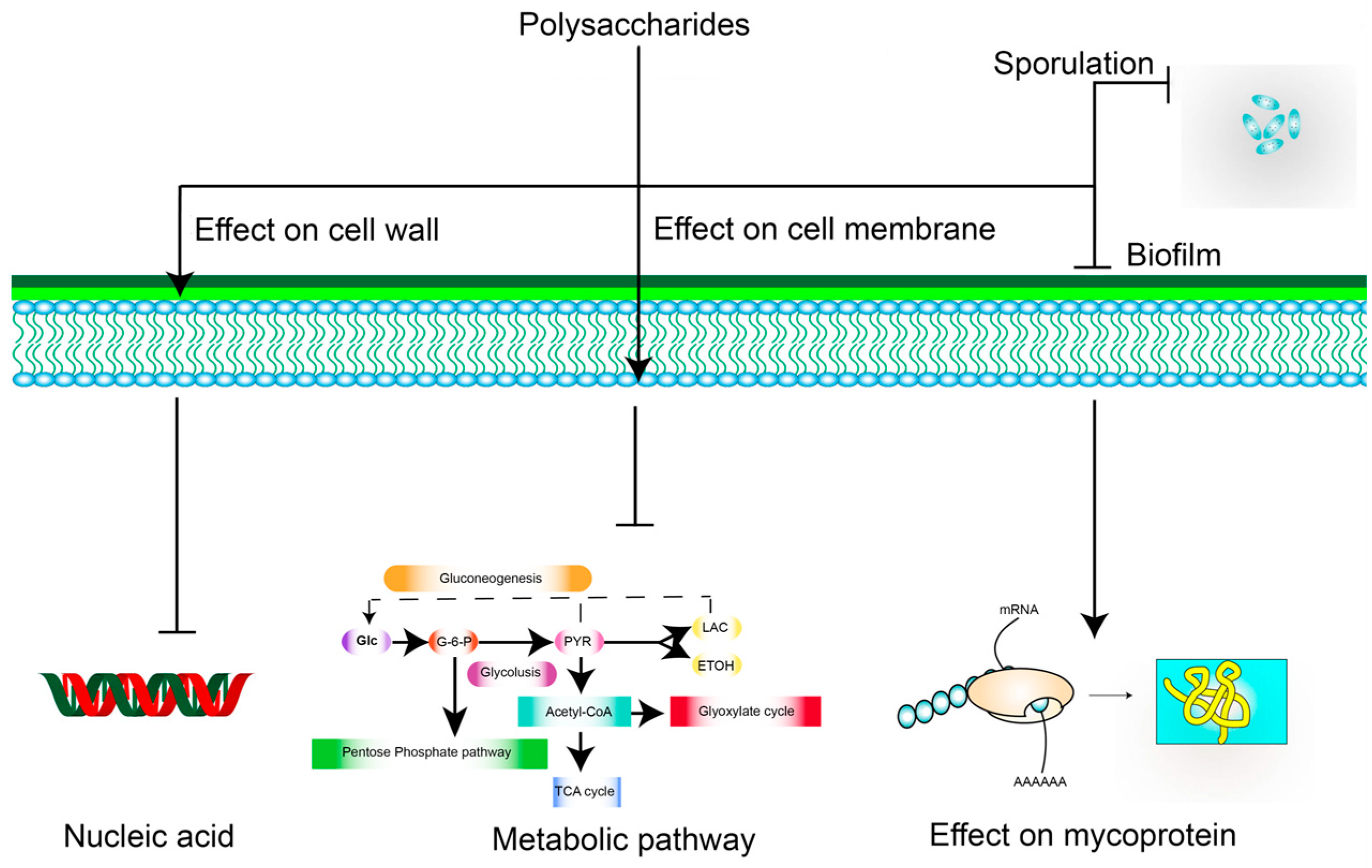 Polymers 15 02847 g003 Polymers 15 02847 g003