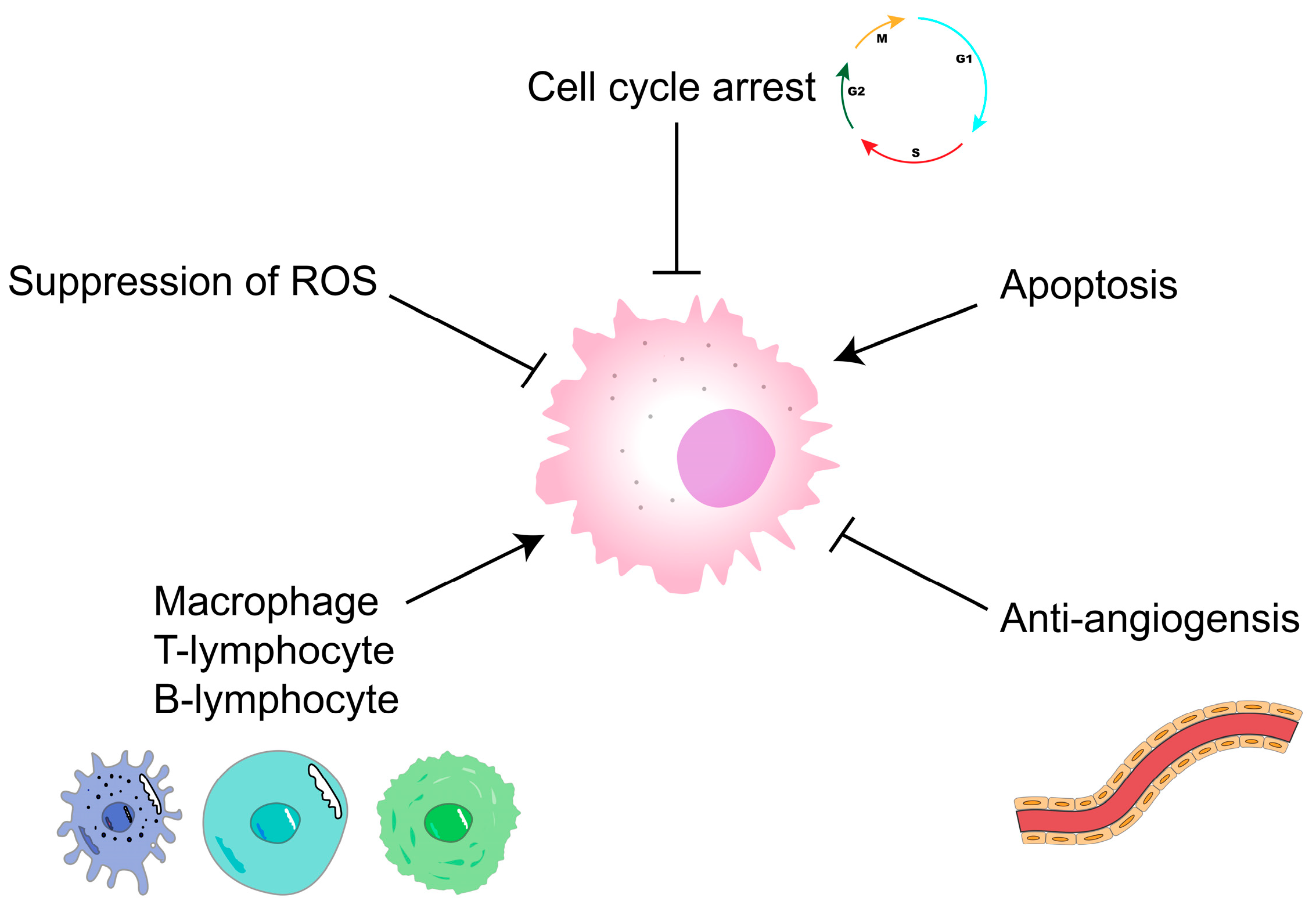 Polymers 15 02847 g004 Polymers 15 02847 g004
