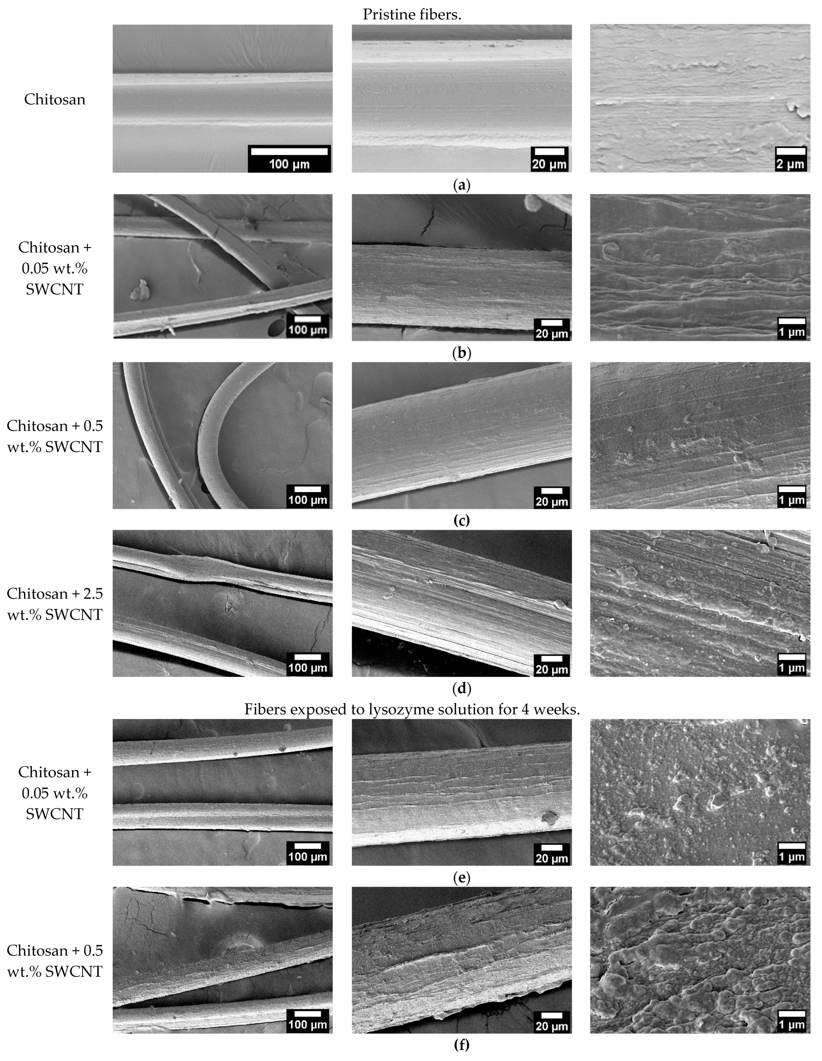 Polymers 15 02860 g003a