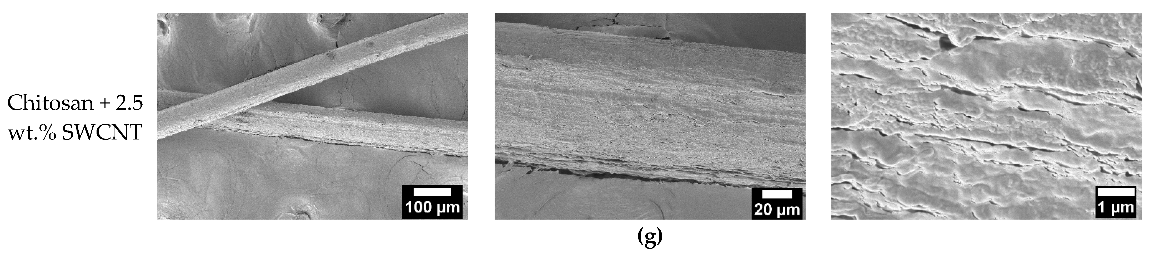 Polymers 15 02860 g003b