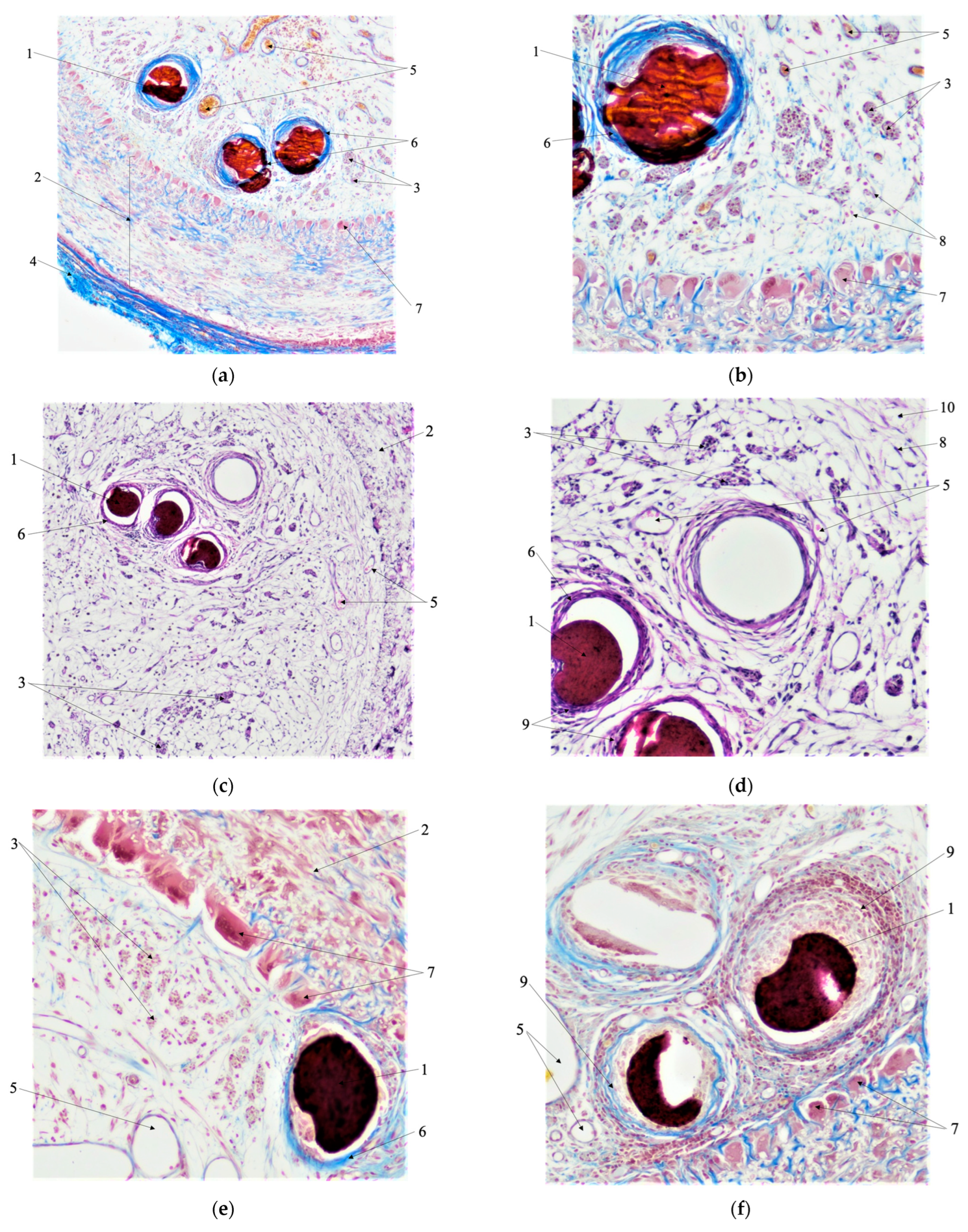 Polymers 15 02860 g010