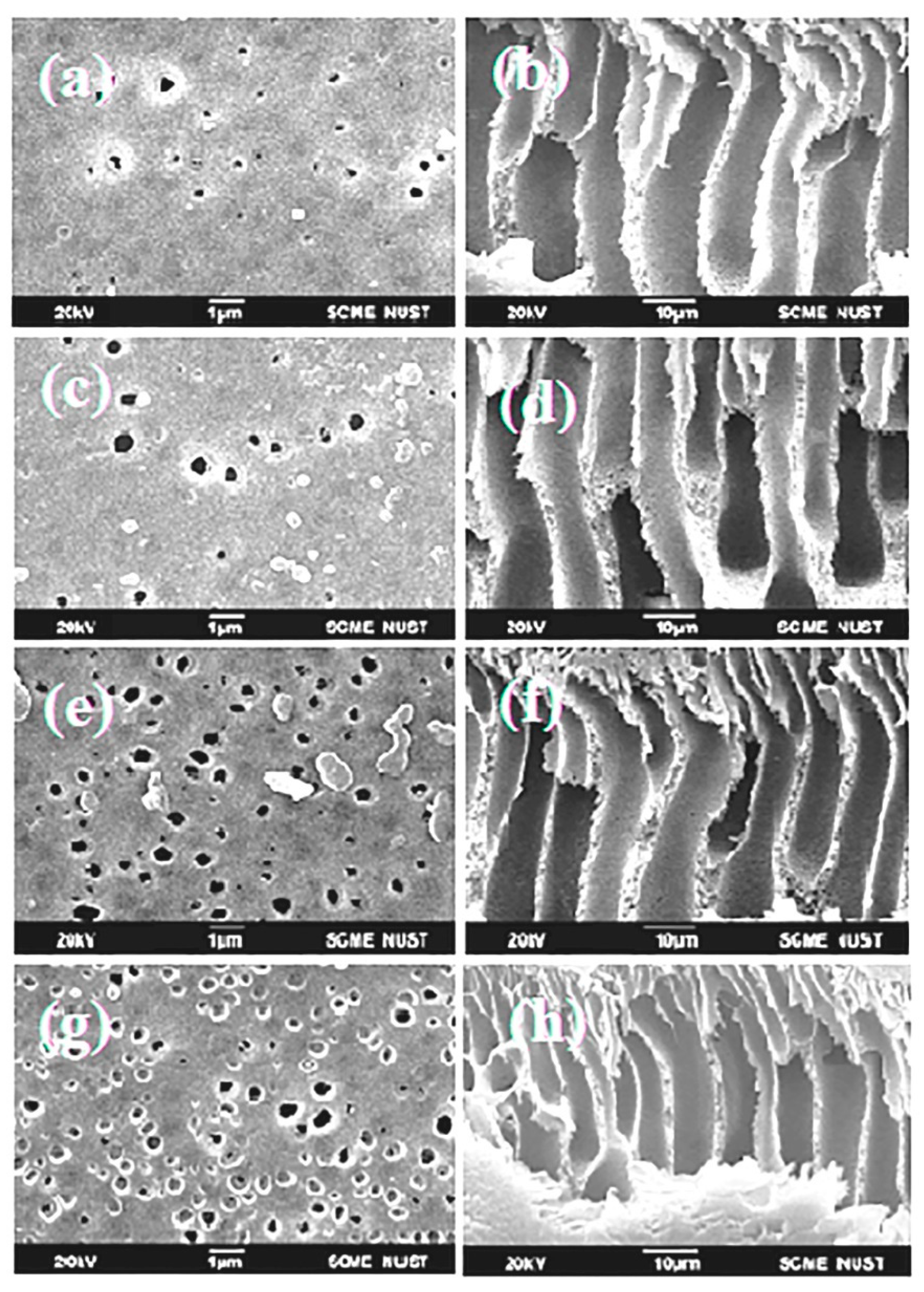 Polymers 15 02868 g009 Polymers 15 02868 g009