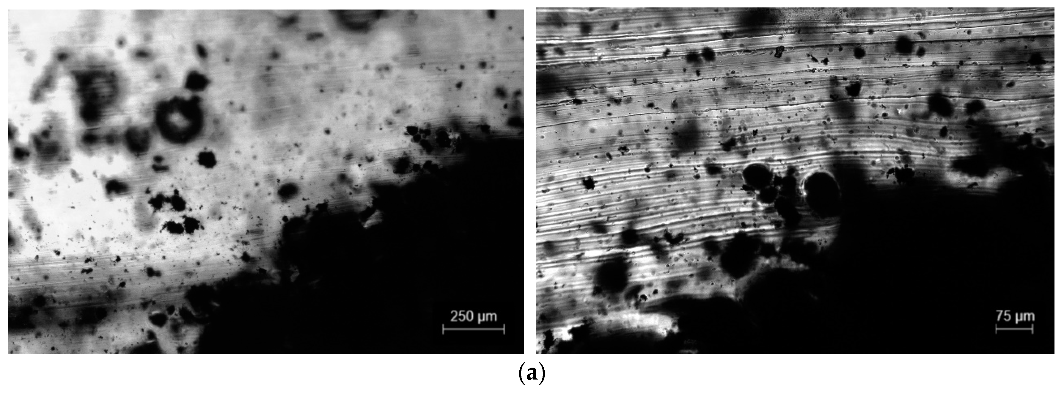 Polymers 15 02870 g008a