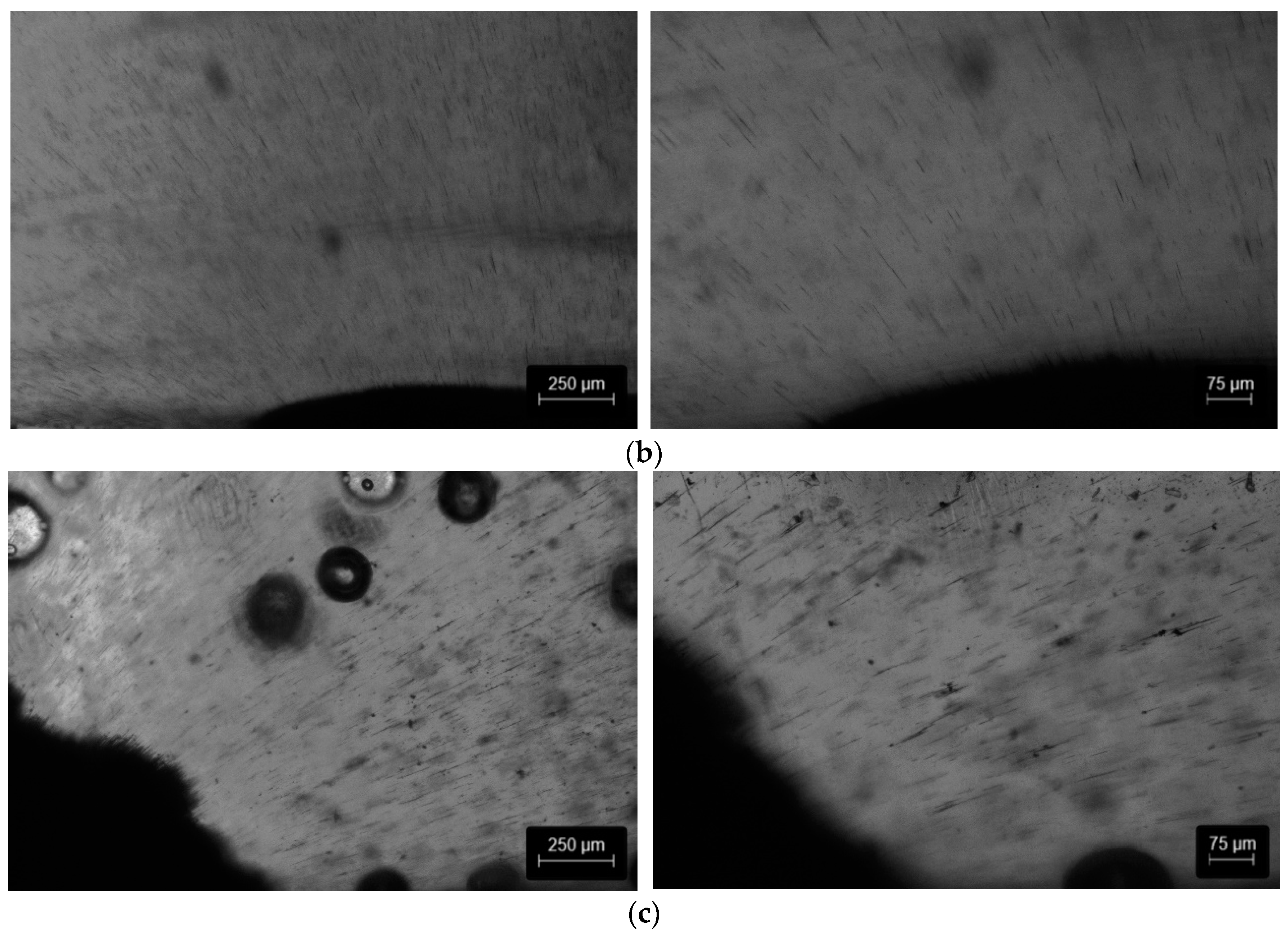 Polymers 15 02870 g008b