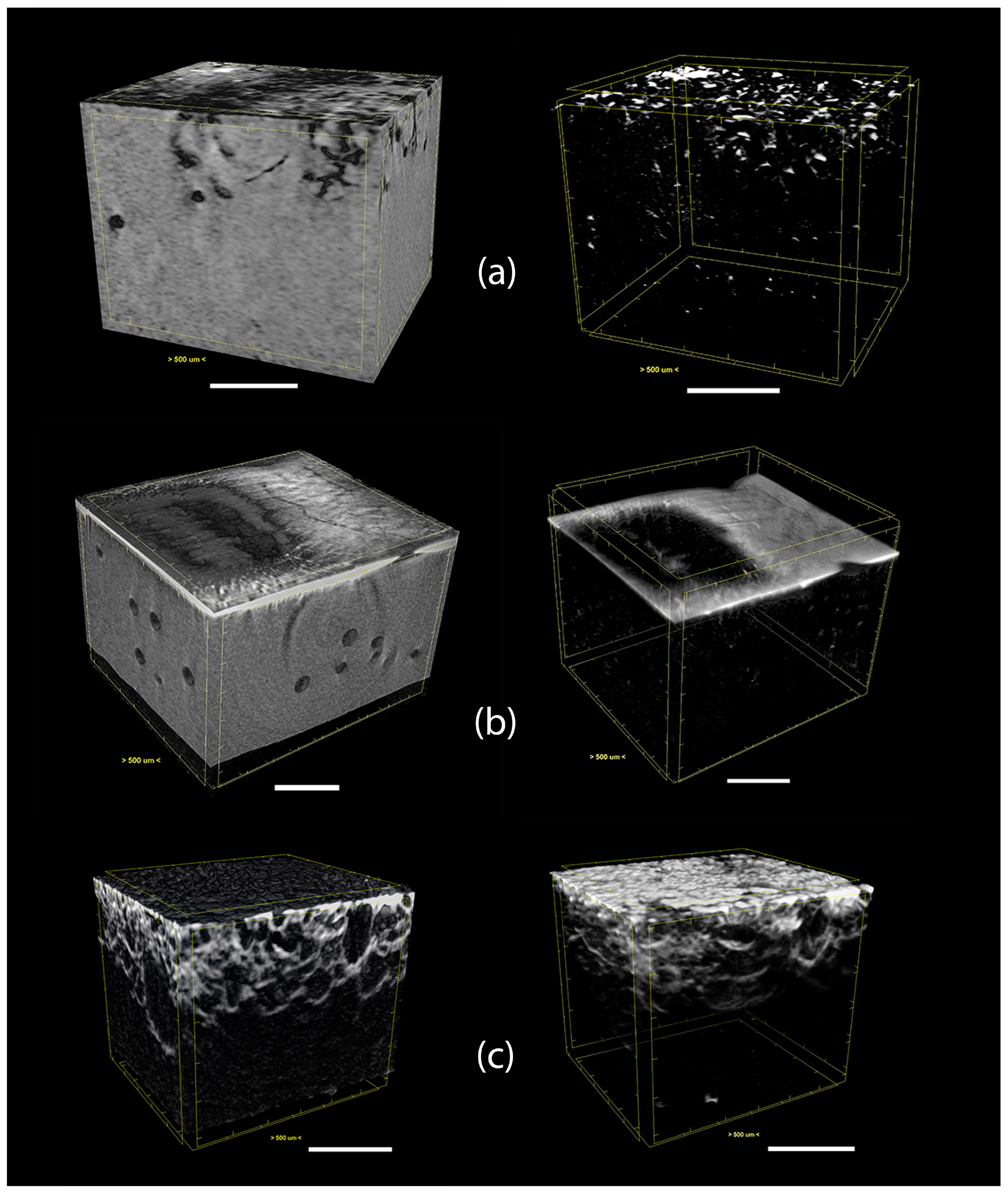 Polymers 15 02870 g009