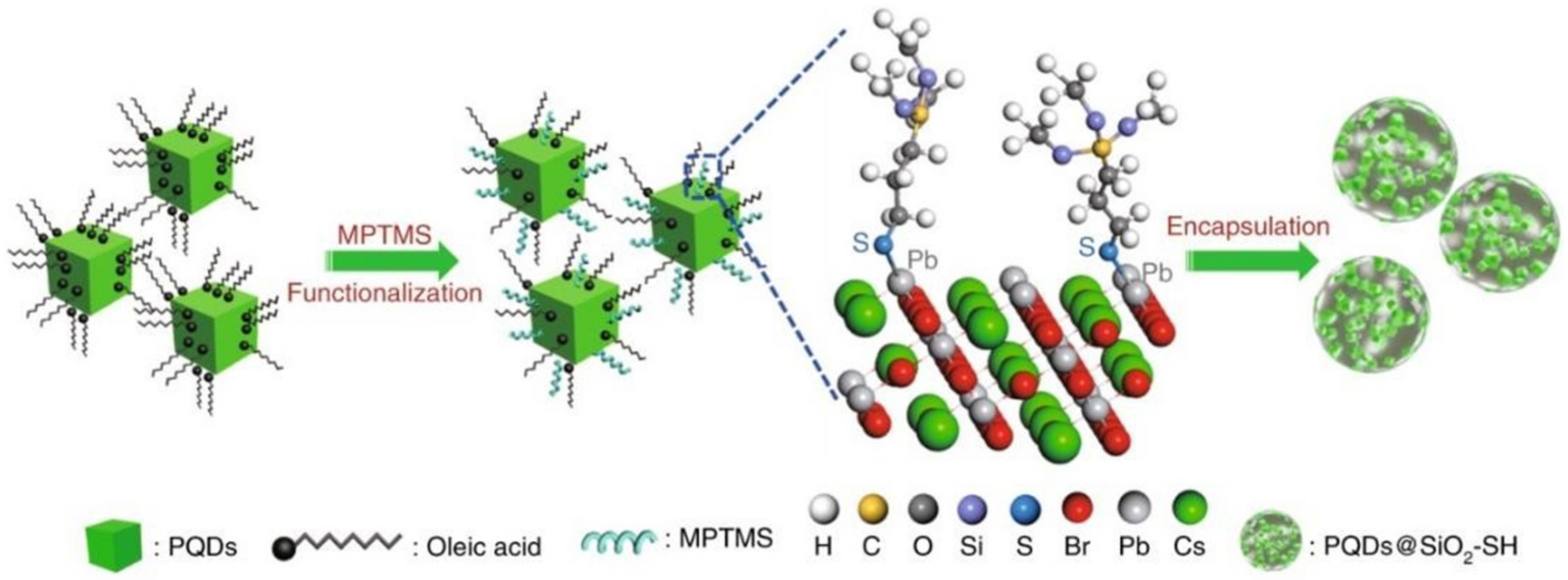 Polymers 15 02873 g005