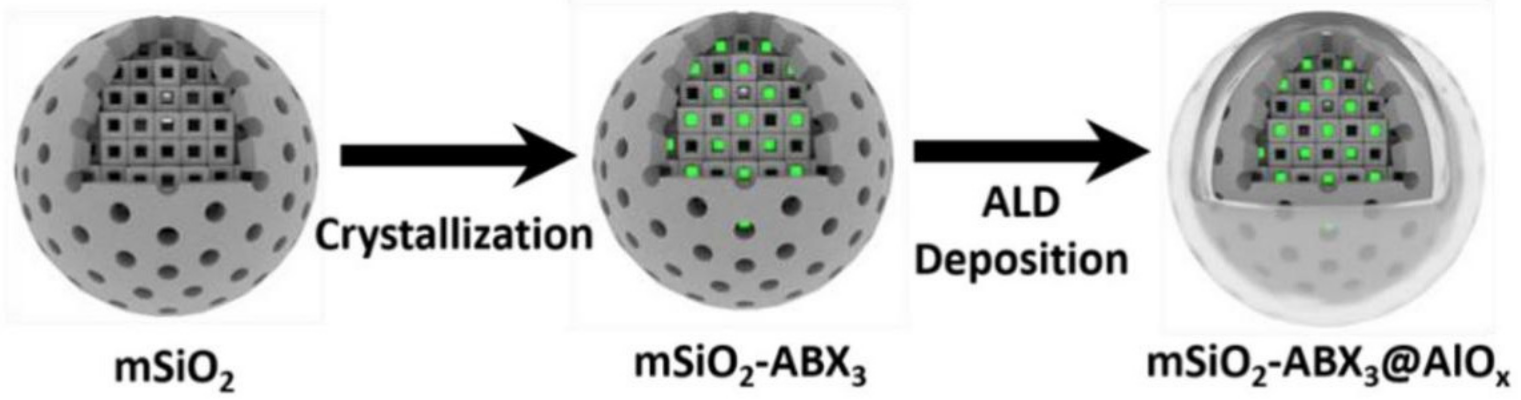 Polymers 15 02873 g006