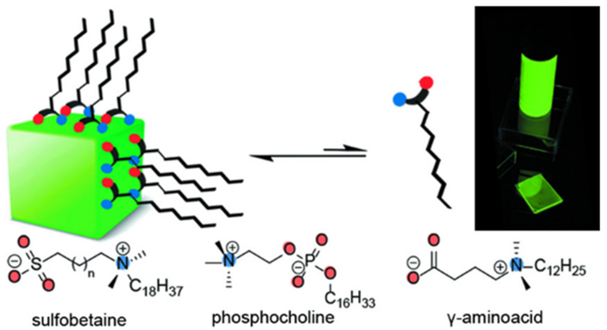Polymers 15 02873 g011