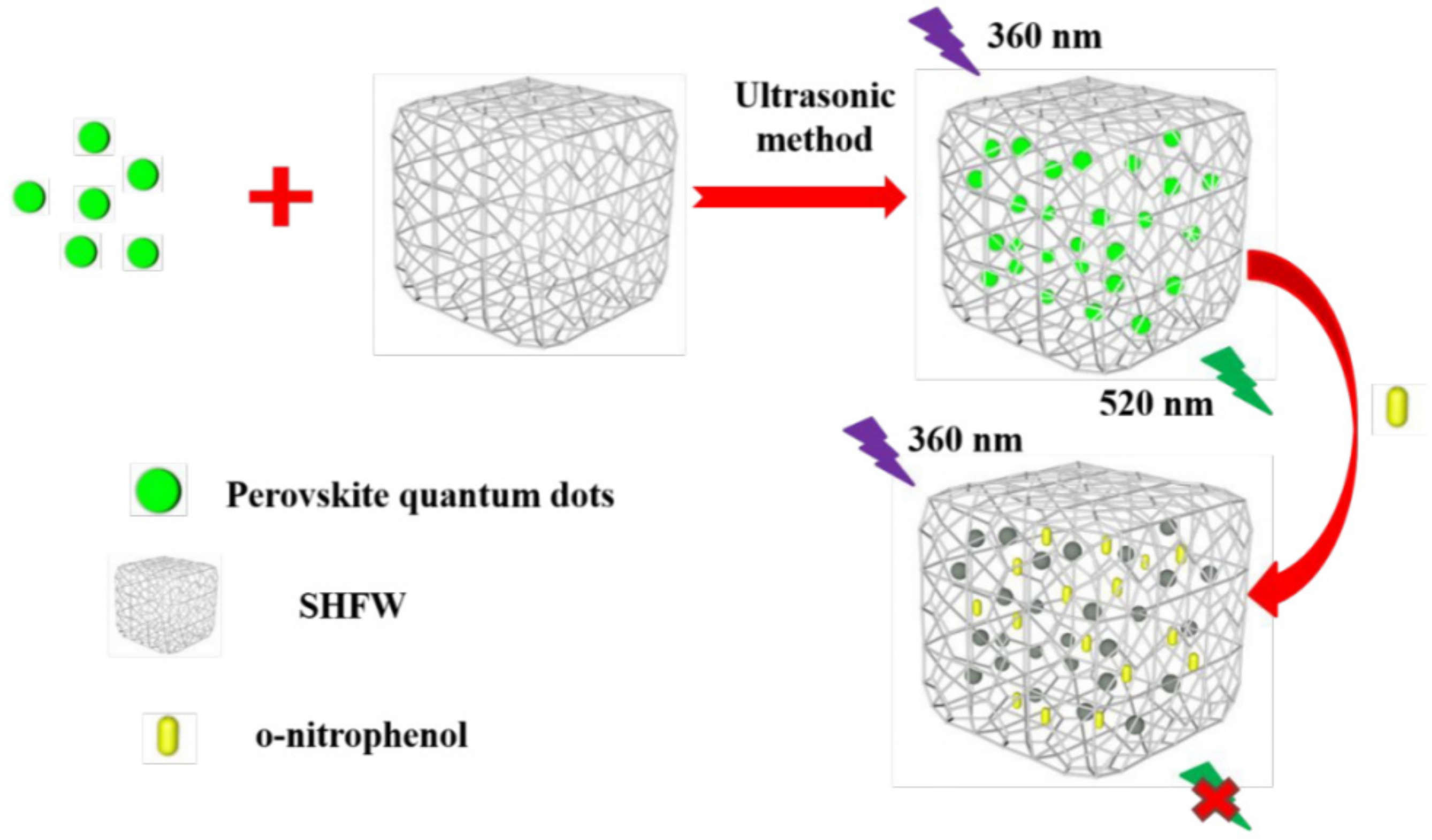 Polymers 15 02873 g019