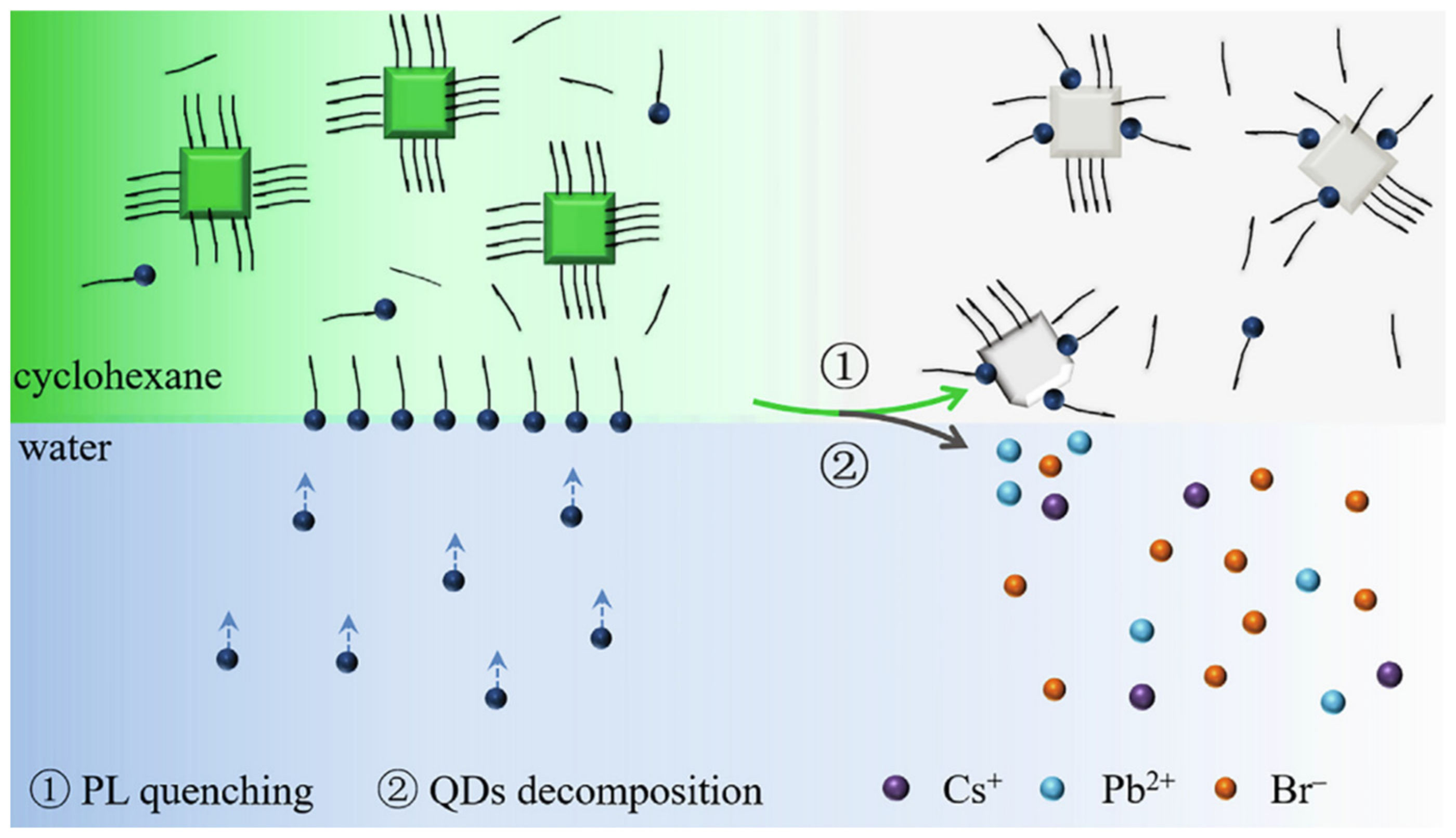 Polymers 15 02873 g020