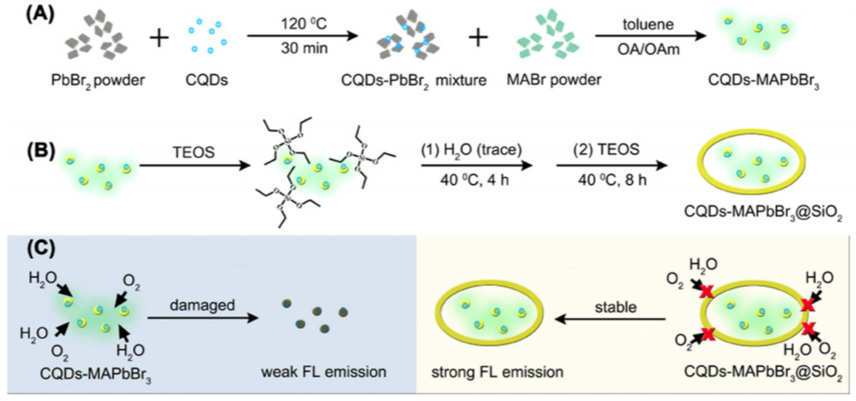 Polymers 15 02873 g023