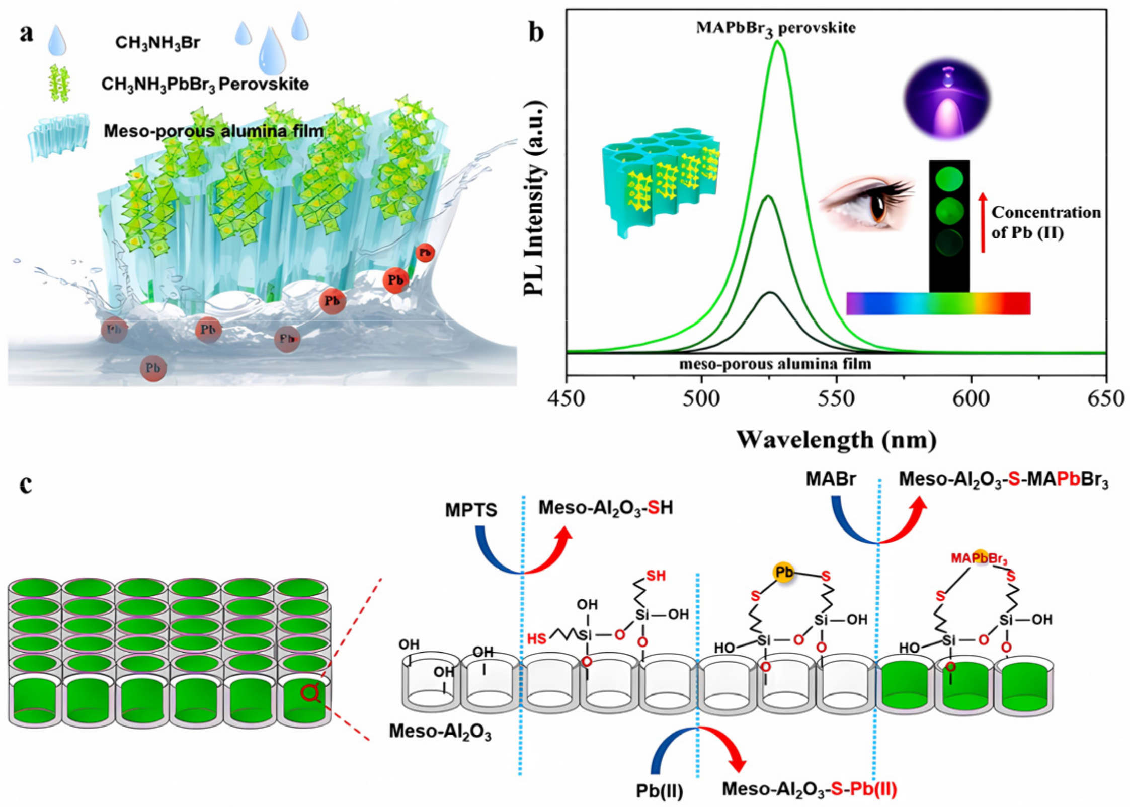 Polymers 15 02873 g025