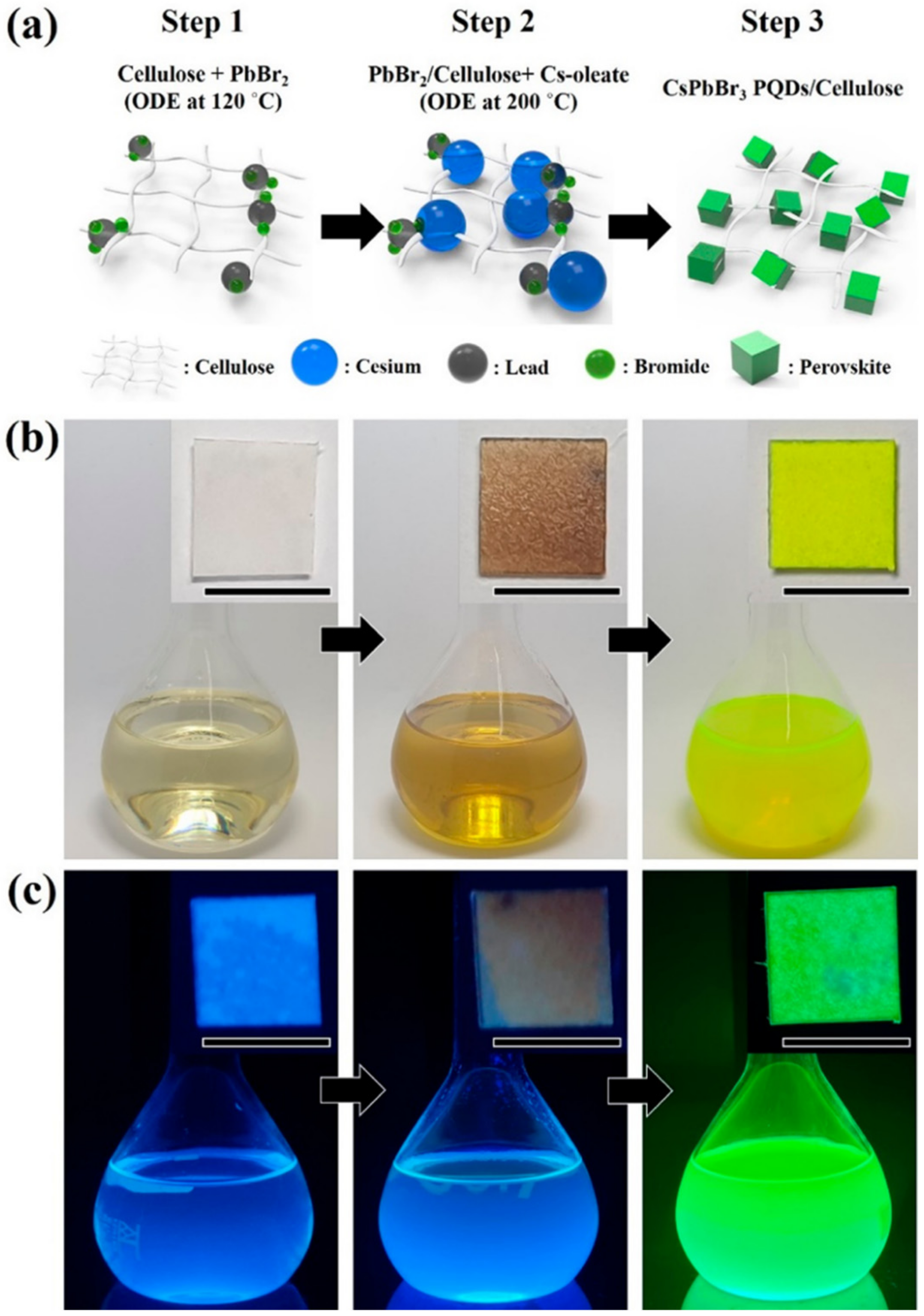 Polymers 15 02873 g026