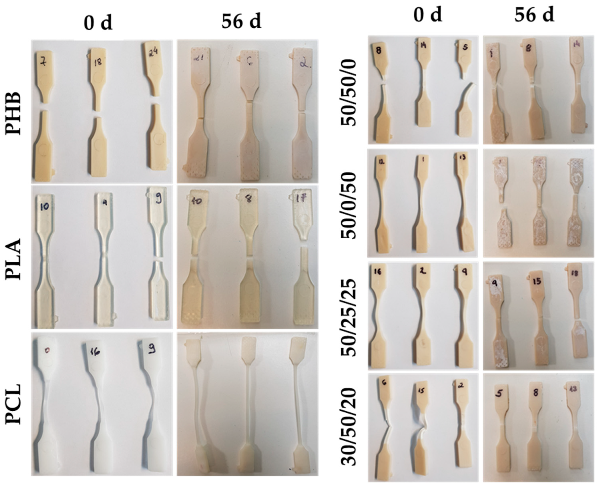 Polymers 15 02874 g005