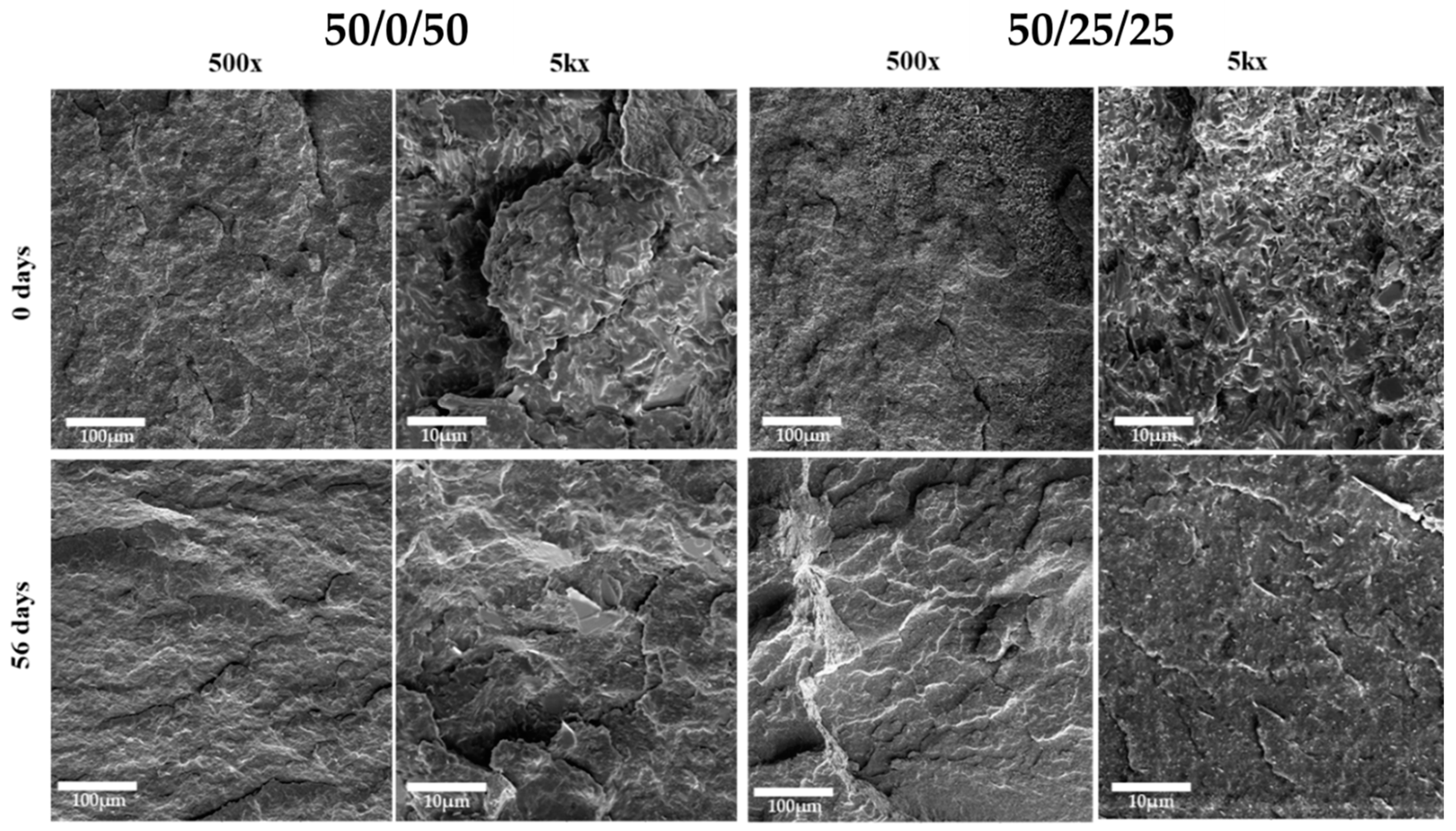 Polymers 15 02874 g006