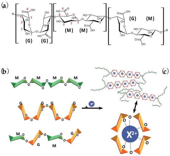 Interaction Pathways and Structure–Chemical Transformations of Alginate  Gels in Physiological Environments