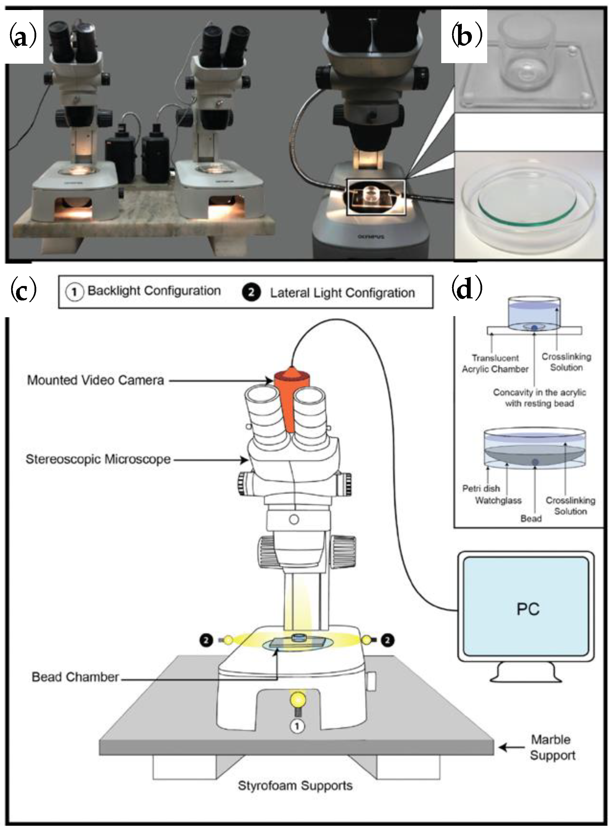Polymers 15 02875 g012