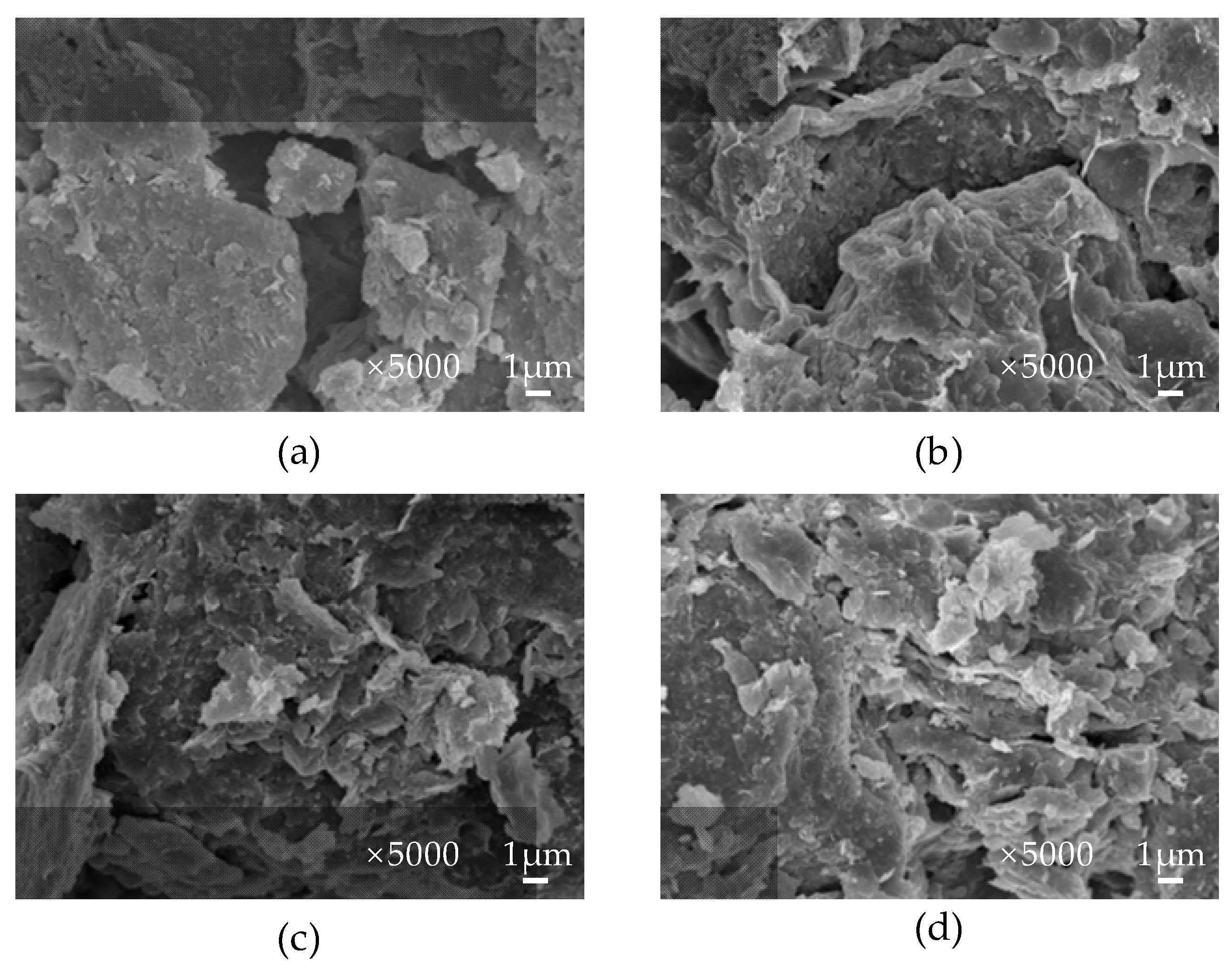 Polymers 15 02878 g004 Polymers 15 02878 g004
