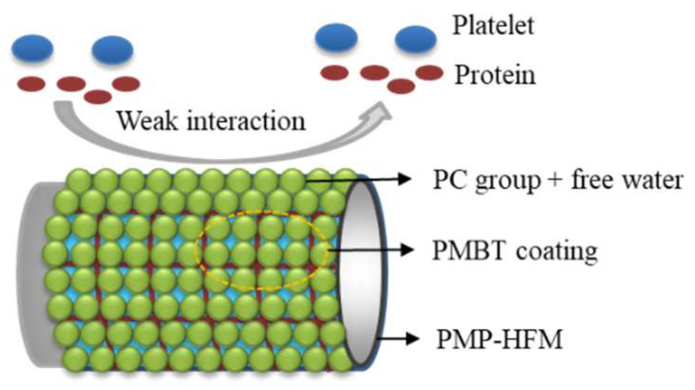 Polymers 15 02881 g008