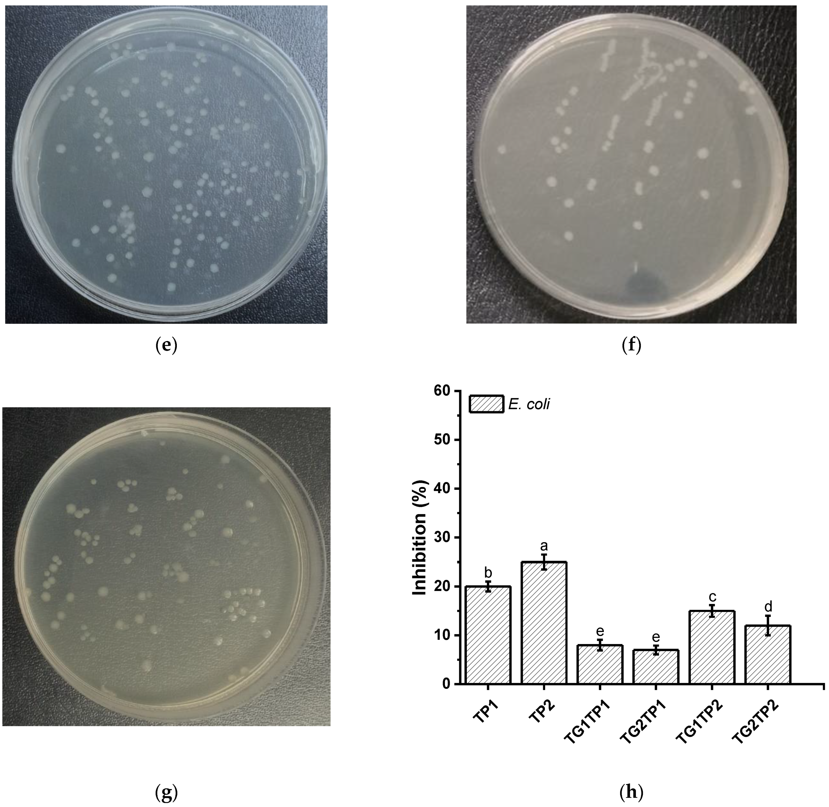 Polymers 15 02882 g007b