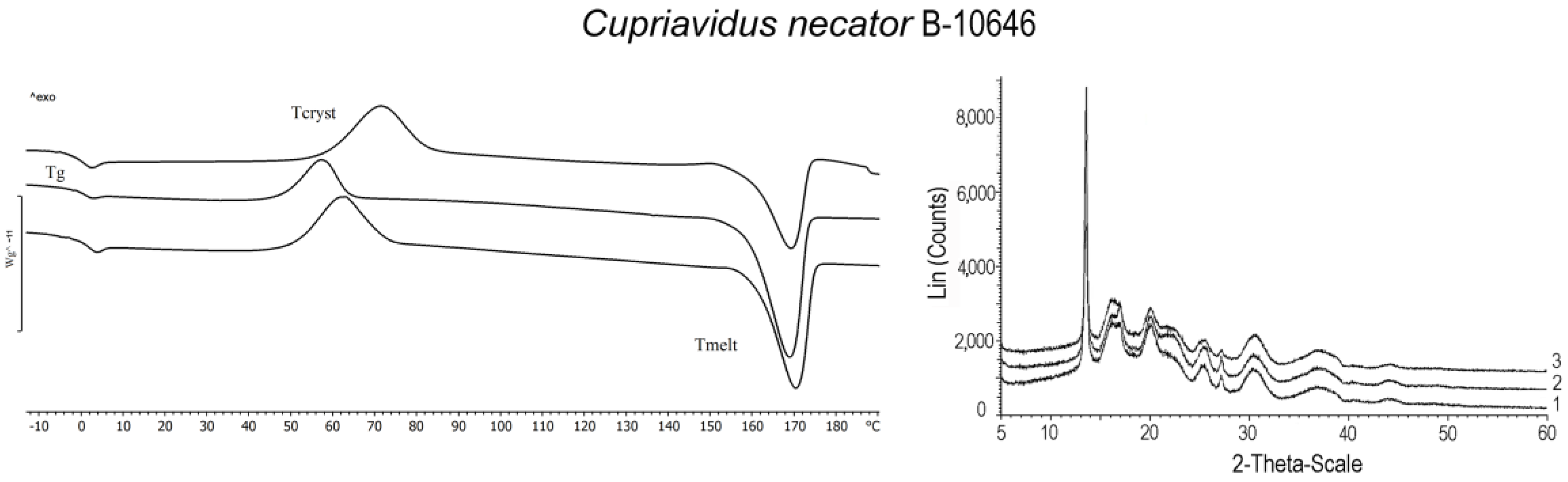 Polymers 15 02890 g008a Polymers 15 02890 g008a