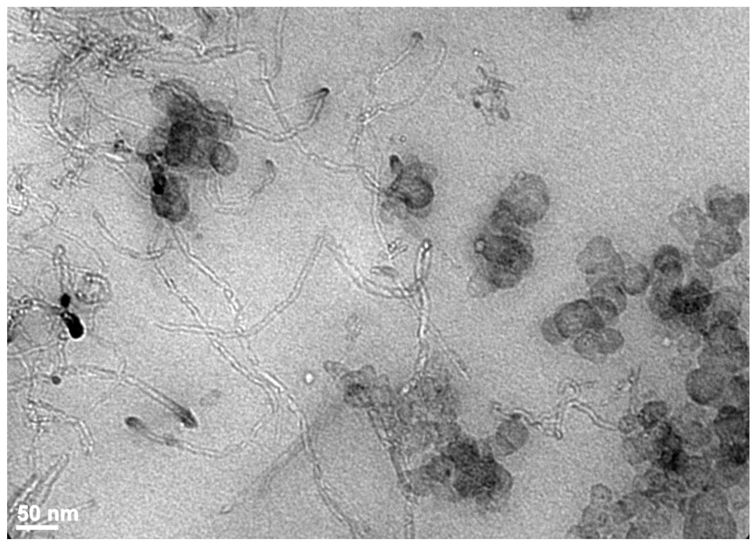 Polymers 15 02900 g006