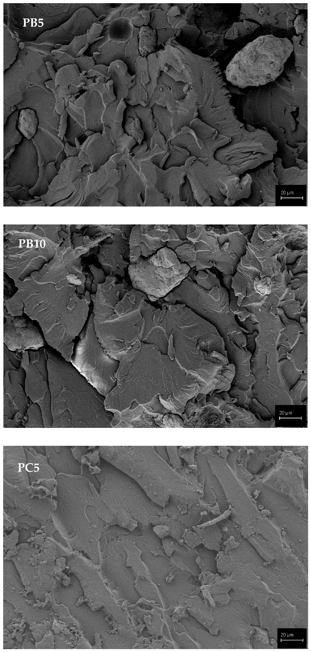 Polymers 15 02904 g008b