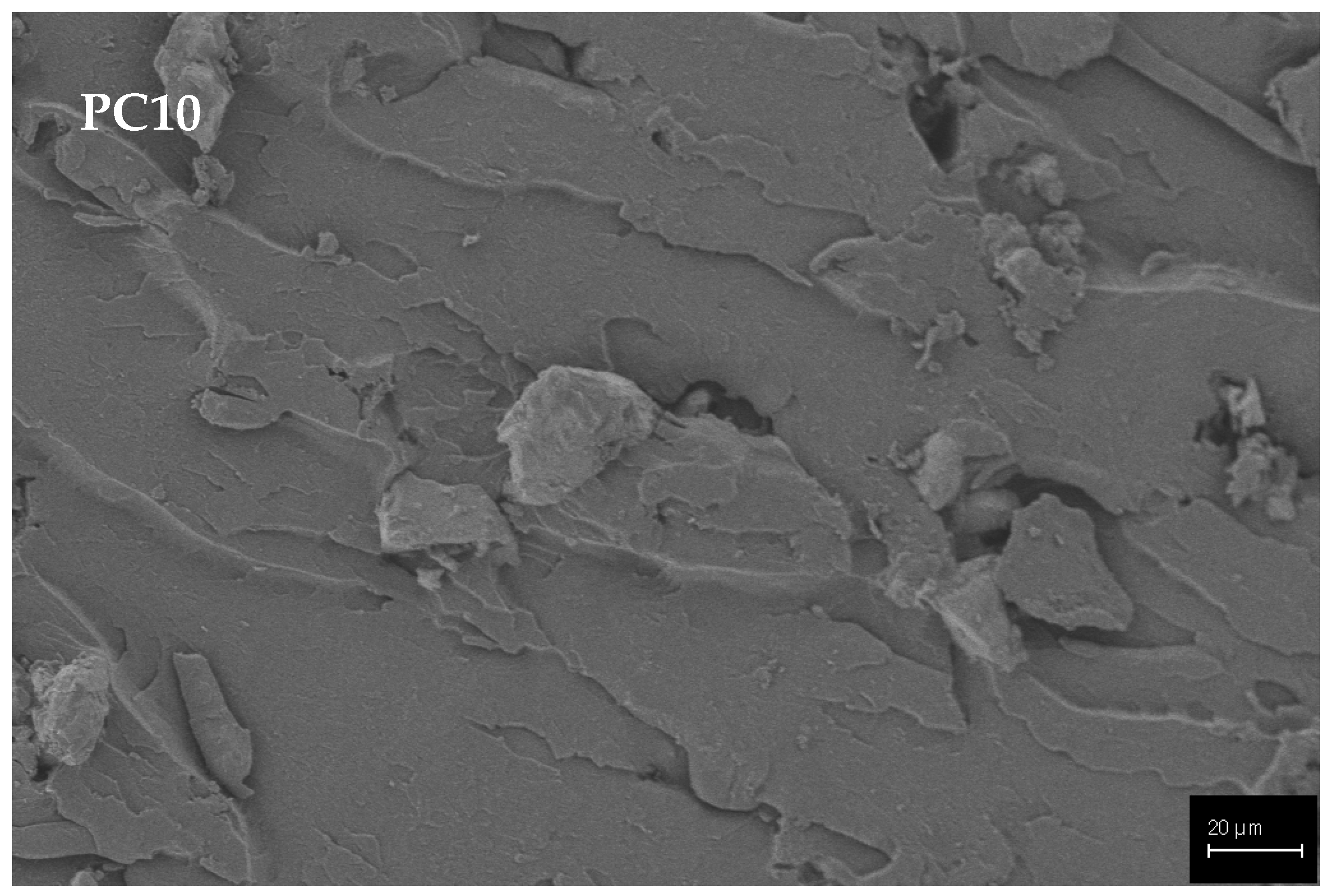 Polymers 15 02904 g008c