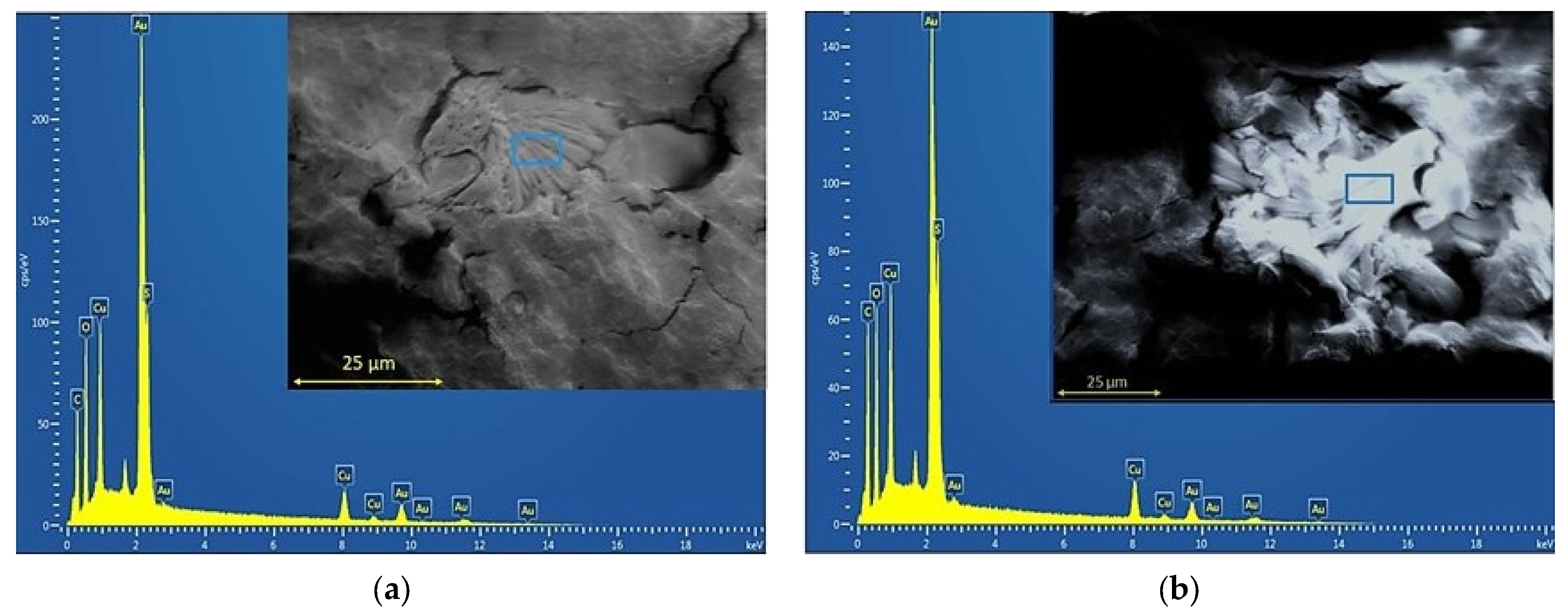 Polymers 15 02907 g001 Polymers 15 02907 g001