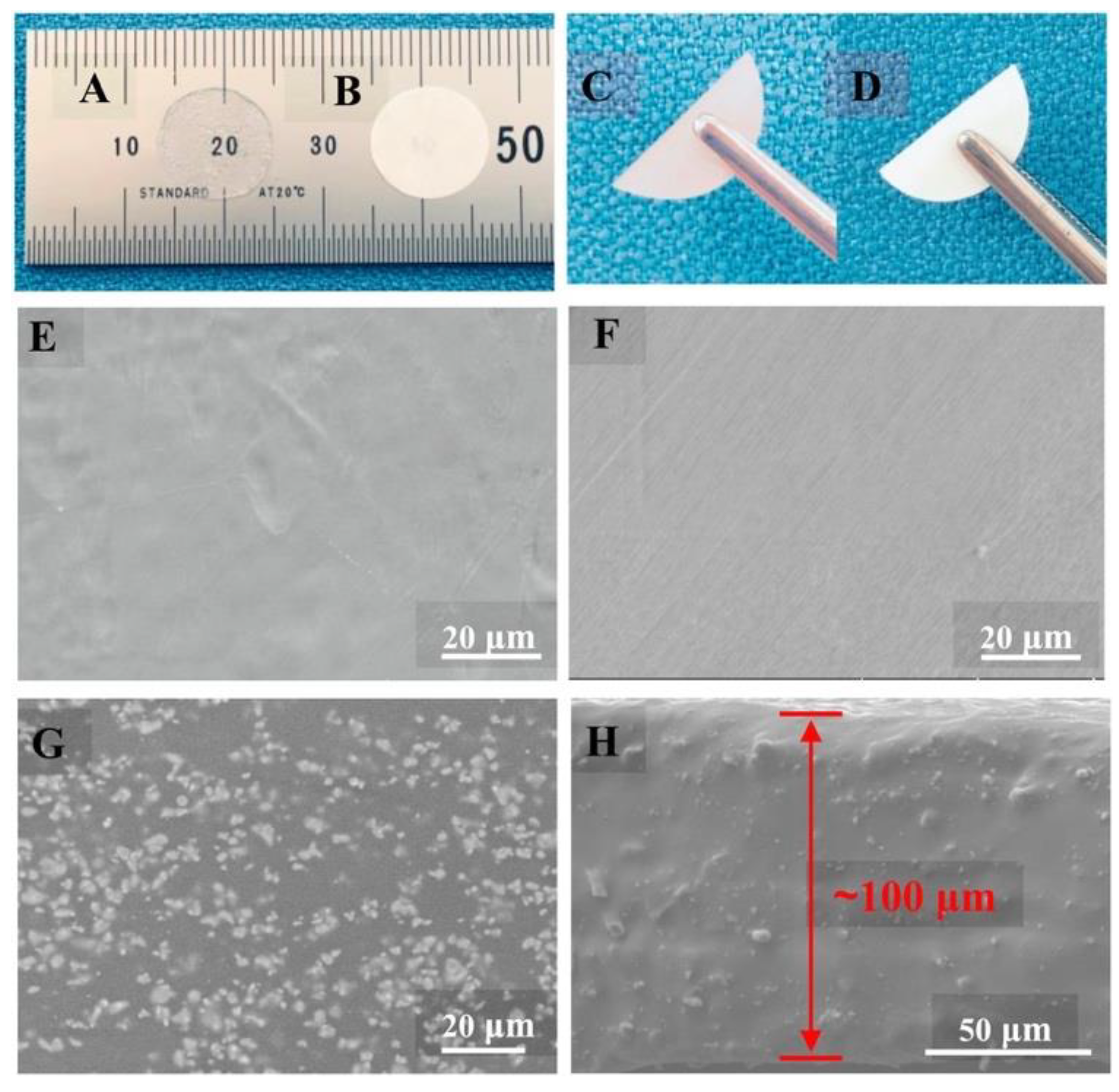 Polymers 15 02920 g007 Polymers 15 02920 g007