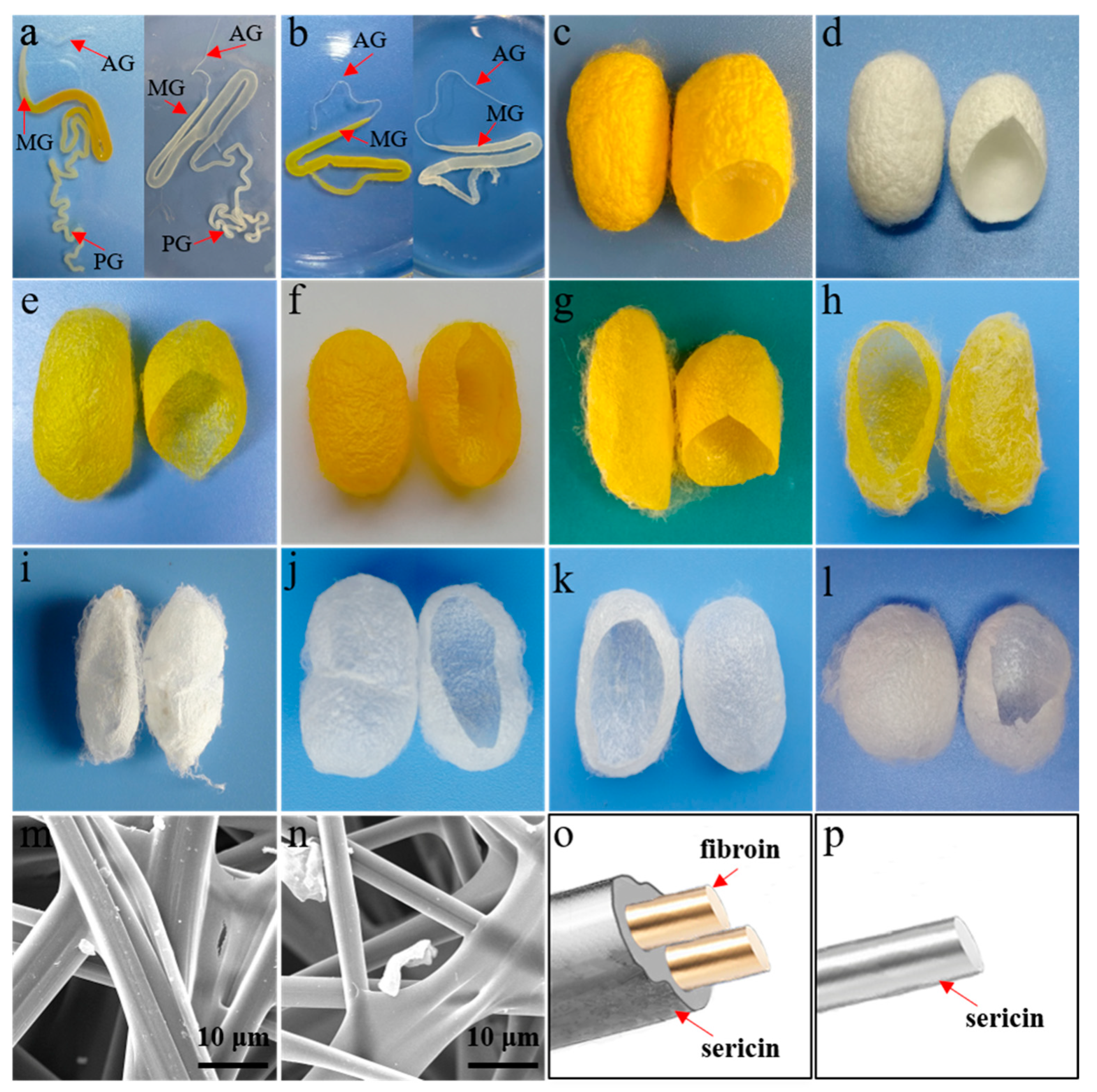 Polymers 15 02941 g001