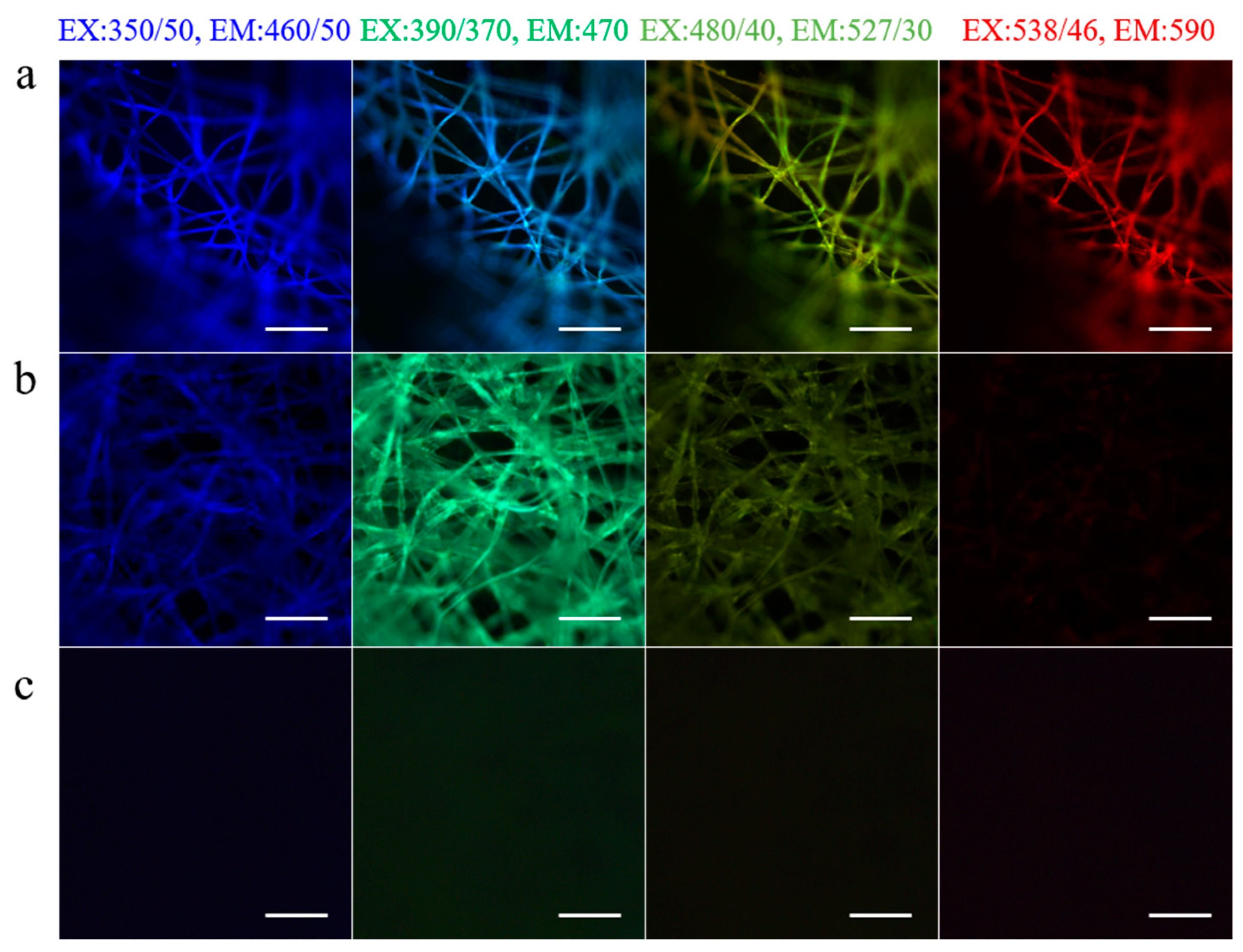 Polymers 15 02941 g002