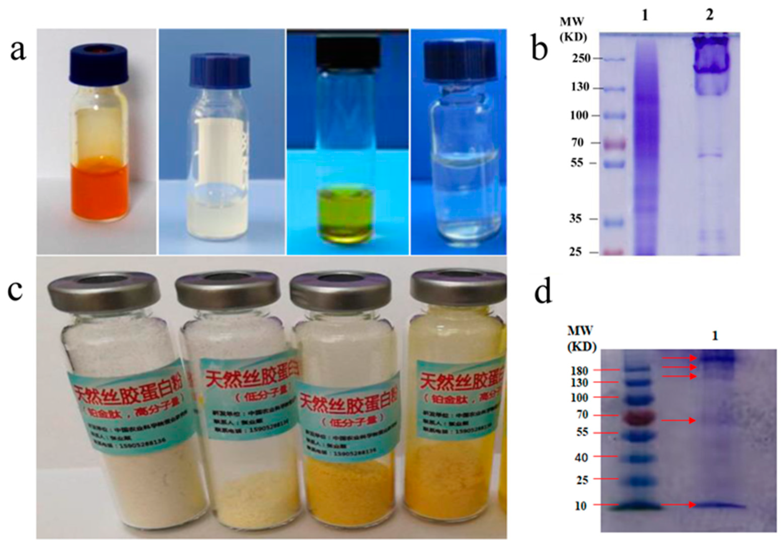 Polymers 15 02941 g004