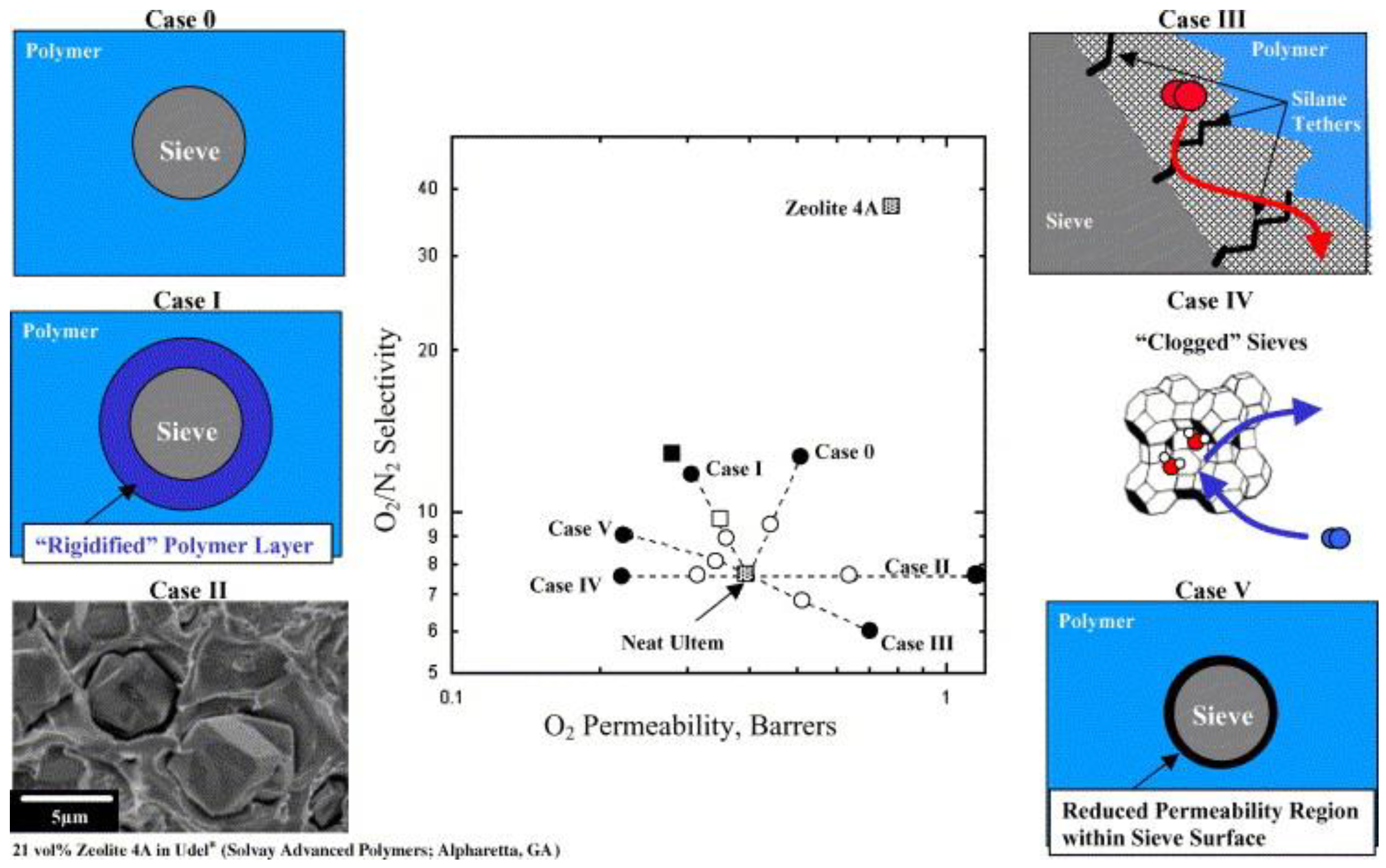 Polymers 15 02951 g001 Polymers 15 02951 g001