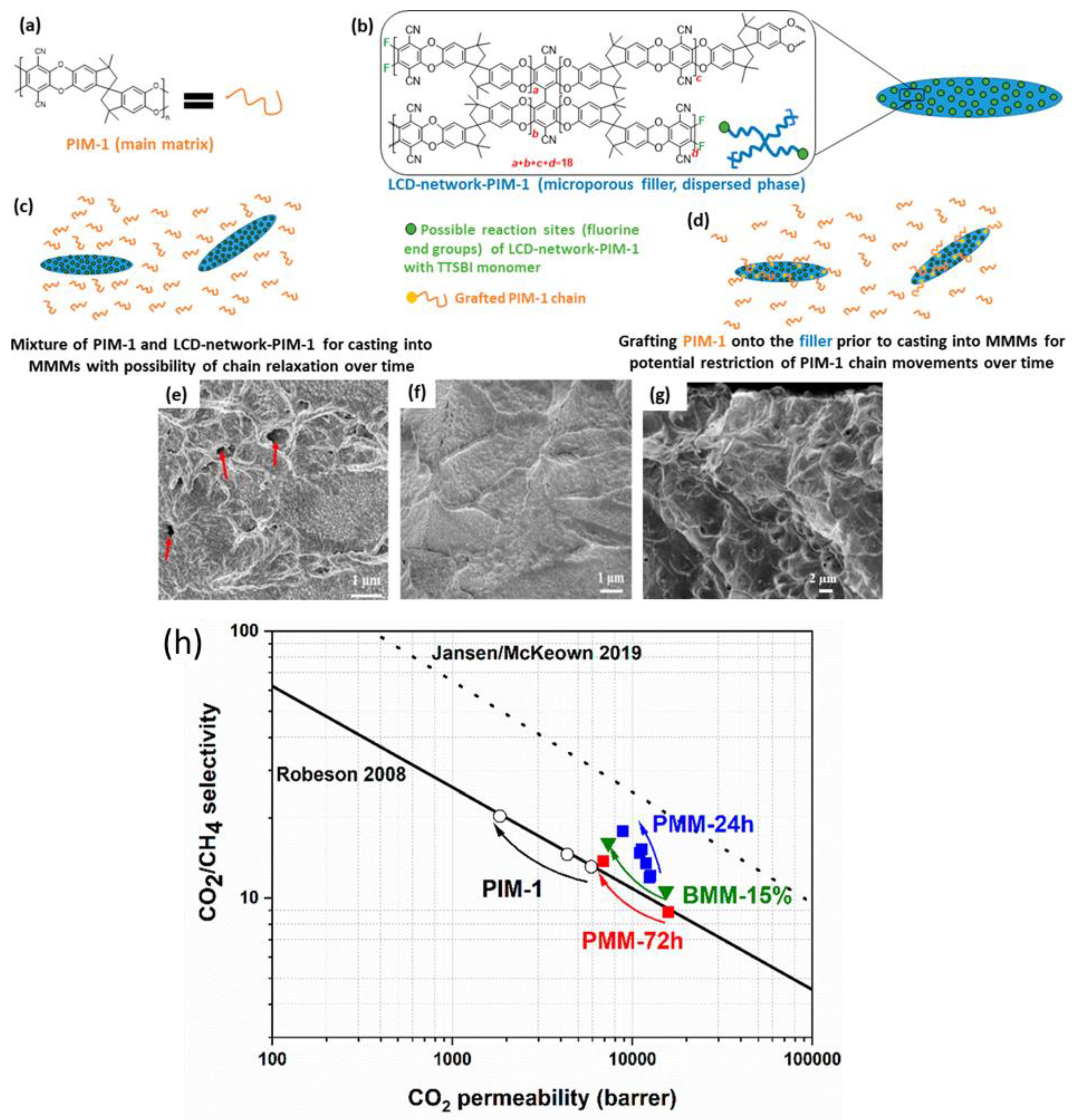 Polymers 15 02951 g011 Polymers 15 02951 g011