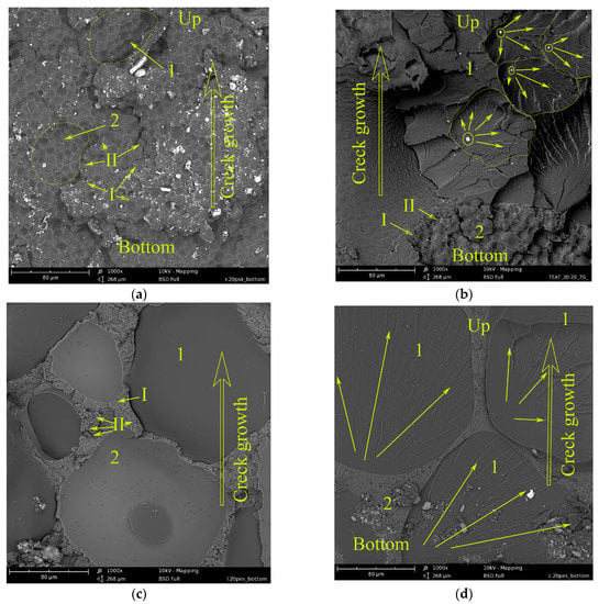 Polymers | Free Full-Text | Fracture Of Epoxy Matrixes Modified With ...