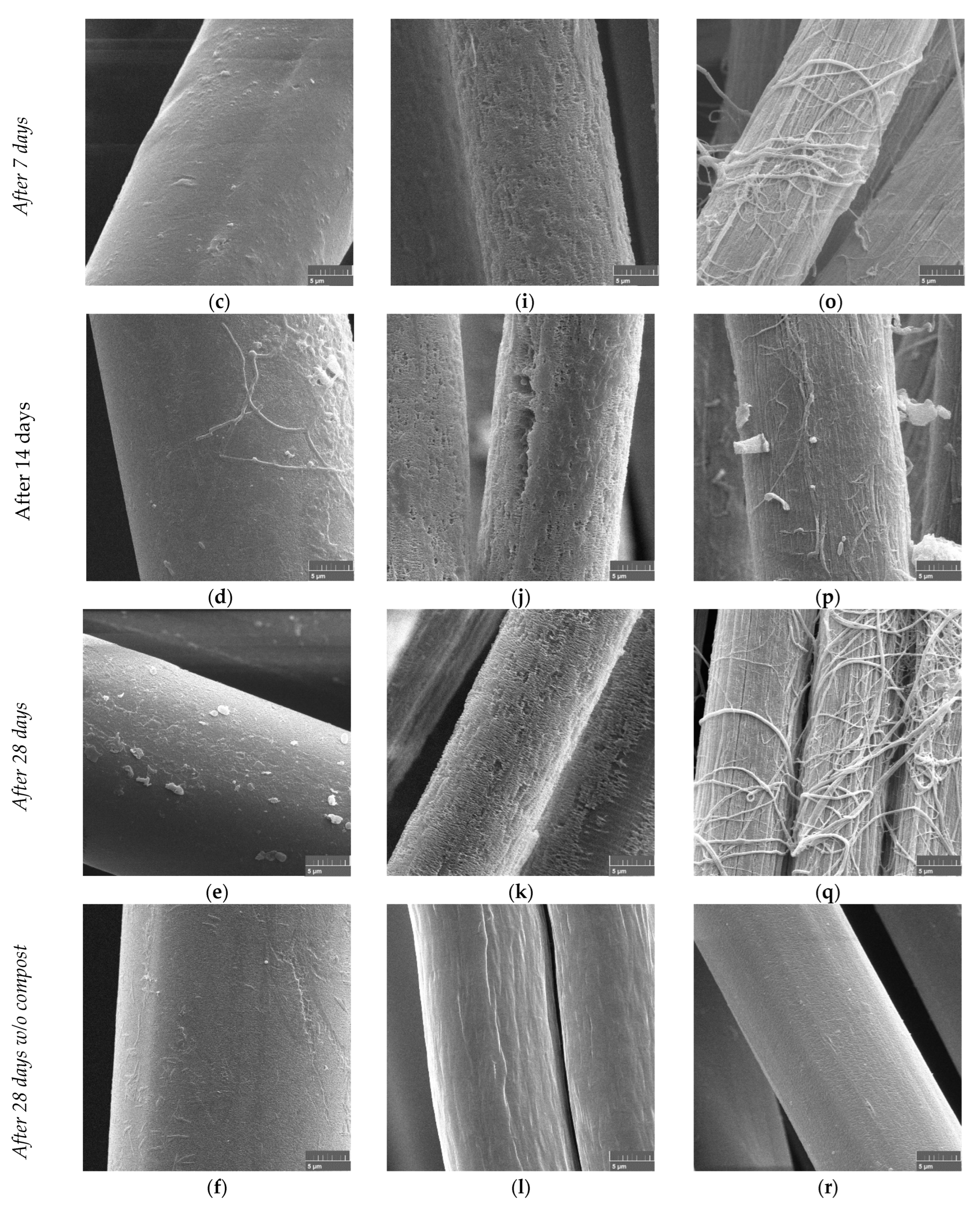 Polymers 15 02959 g006b Polymers 15 02959 g006b
