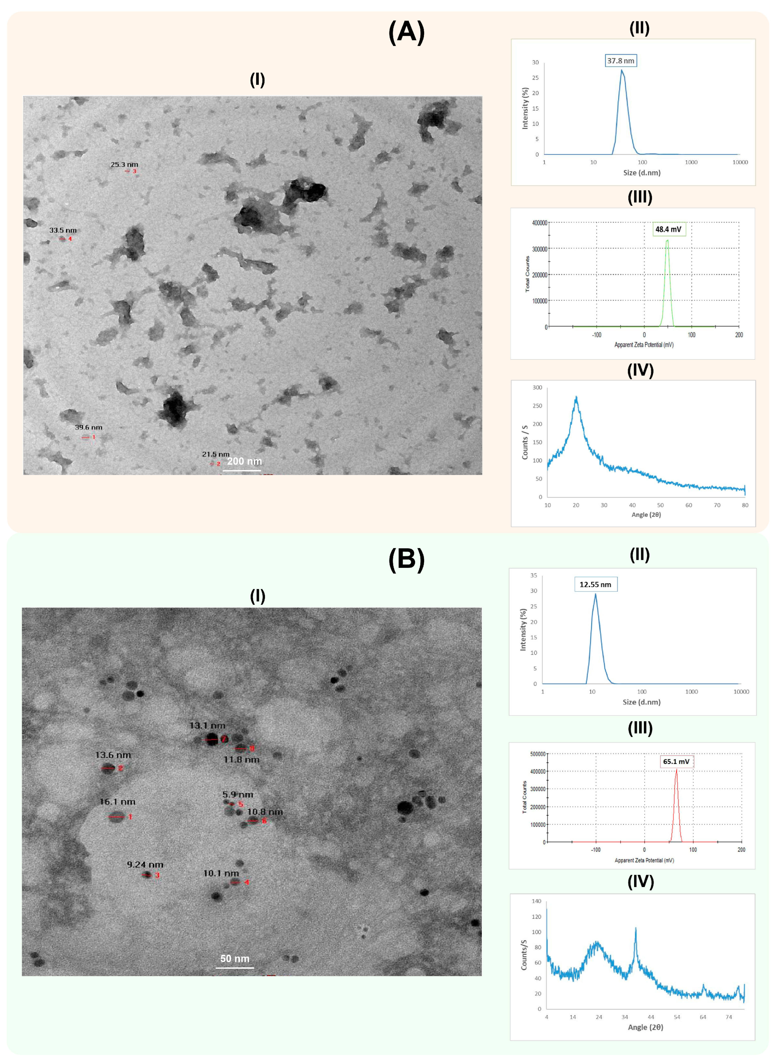 Polymers 15 02961 g002 Polymers 15 02961 g002