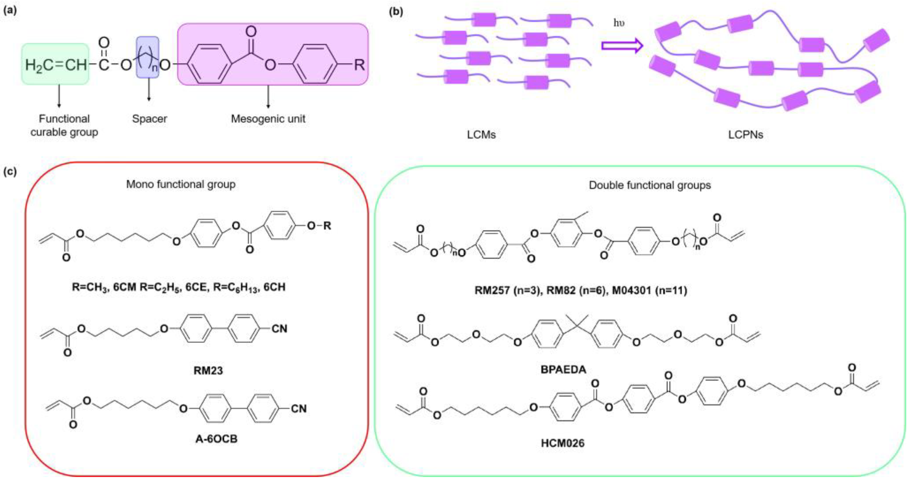 Polymers 15 02962 g001